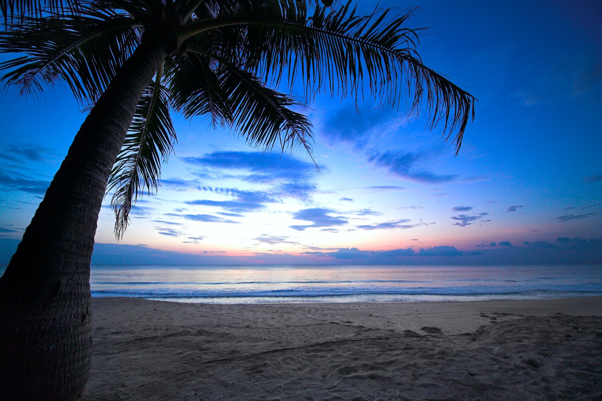 puesta de sol tropical llorando palmera cielo nublado caribe océano mar amanecer playa costa naturaleza paisaje hermosa escena llorando palmera caribe sol