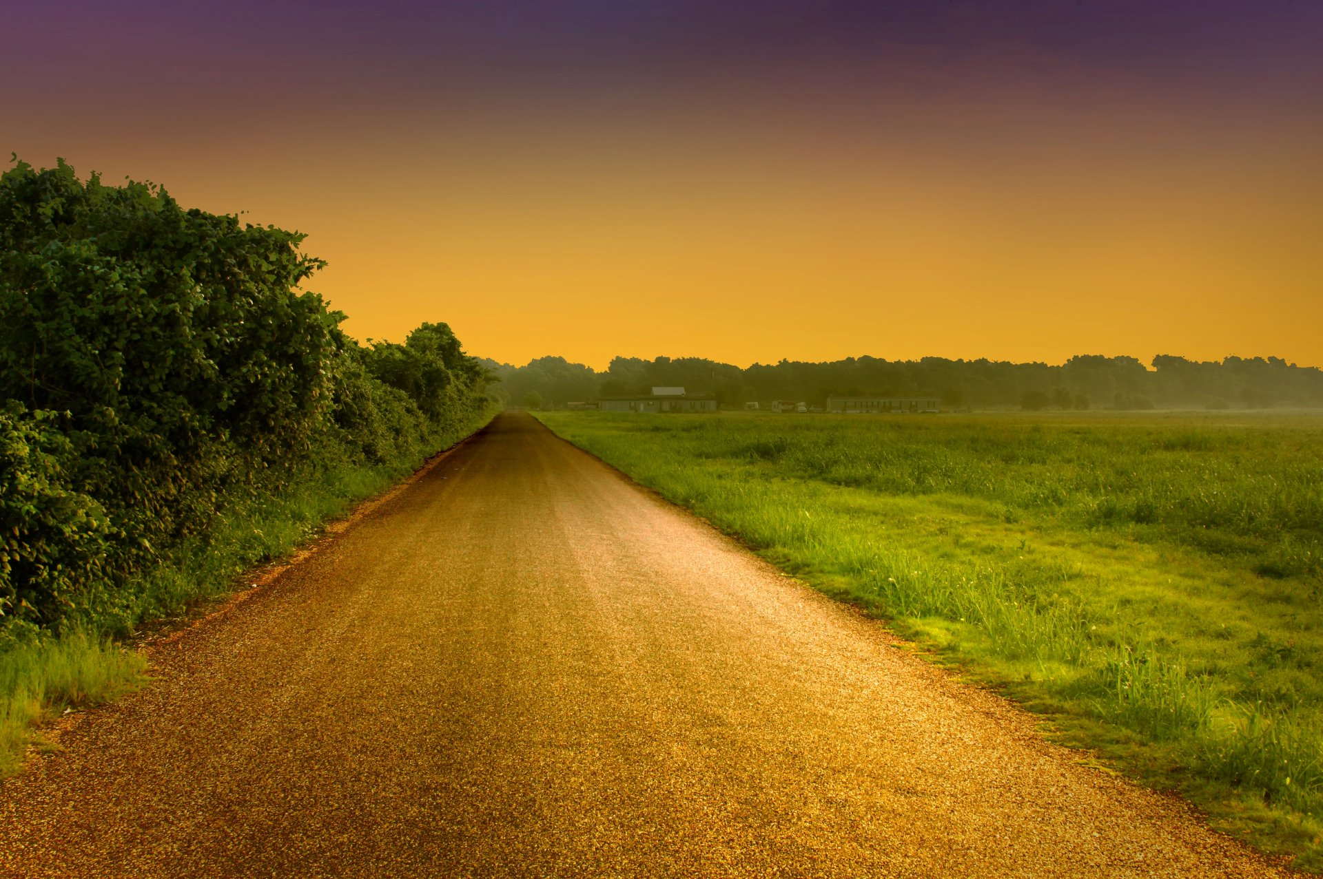 paesaggio natura erba verde foglie fogliame albero alberi strada sentiero sentiero sera cielo sfondo carta da parati widescreen schermo intero widescreen widescreen