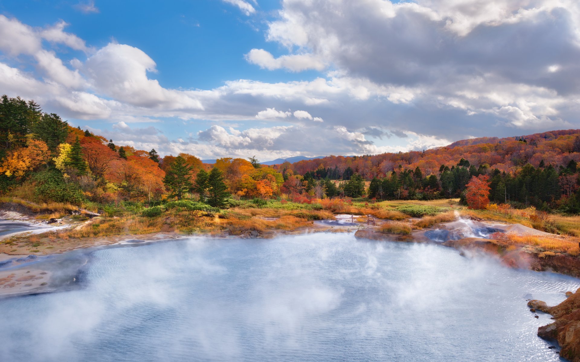 landscape nature forest autumn