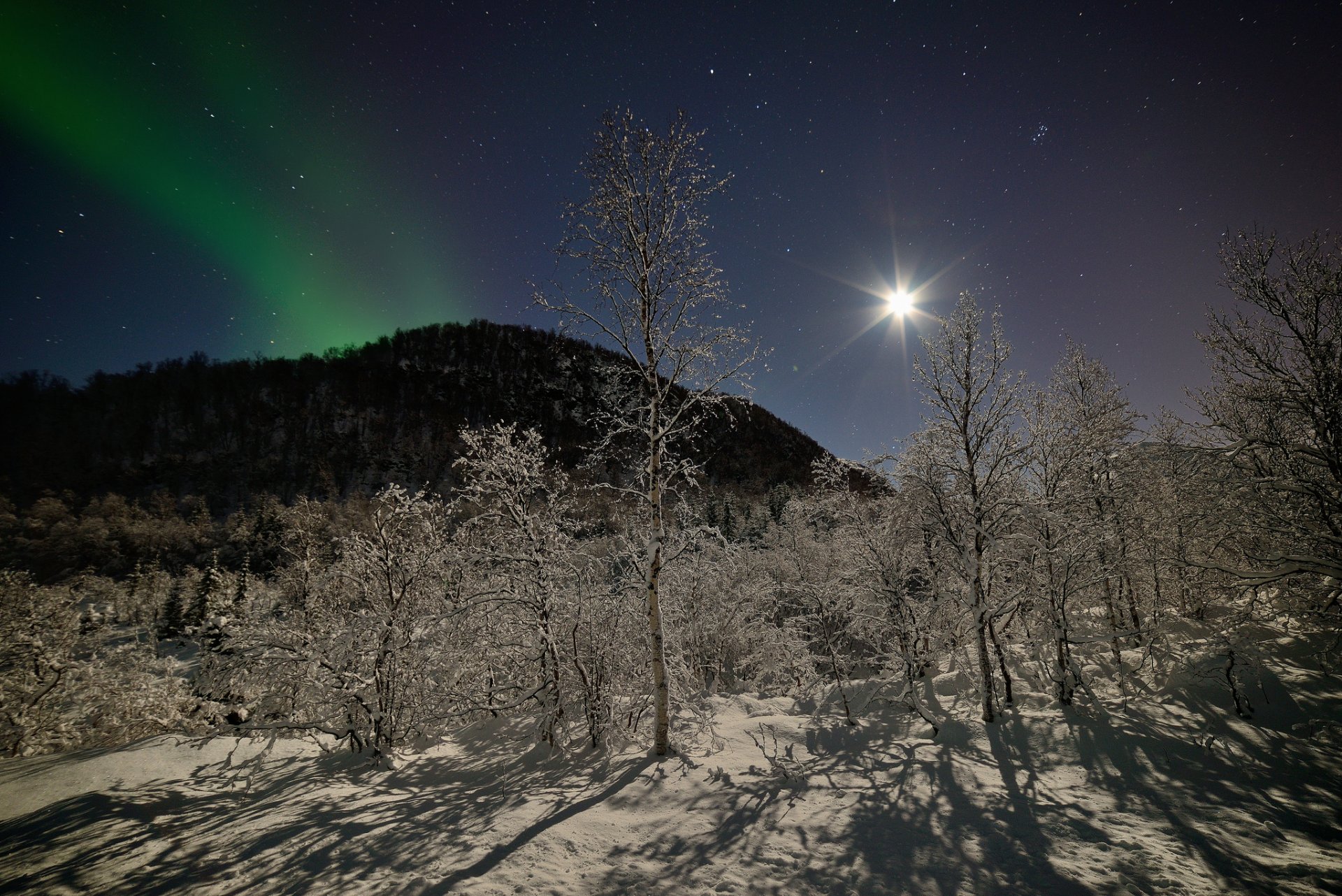 norwegen nacht berge wald bäume schnee winter sterne mond nordlichter