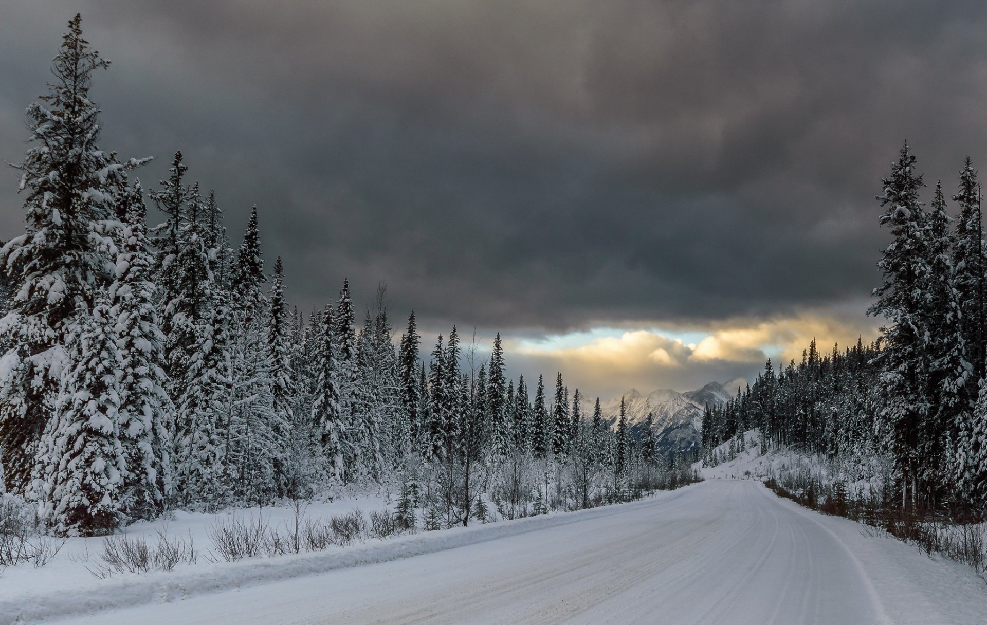 berge wald tannen straße schnee wolken