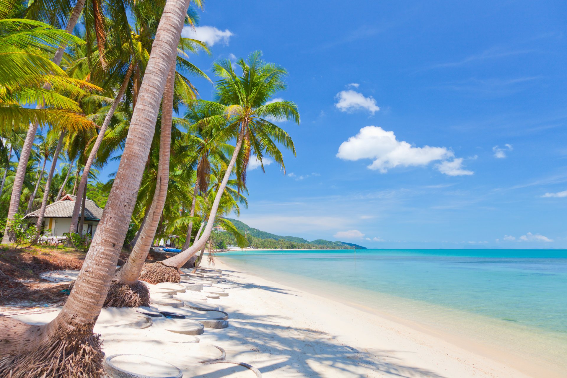 cocotiers nature paysage mer tropical sable ciel nuages plage tropicale koh samui thaïlande belle cocotiers plage tropicale