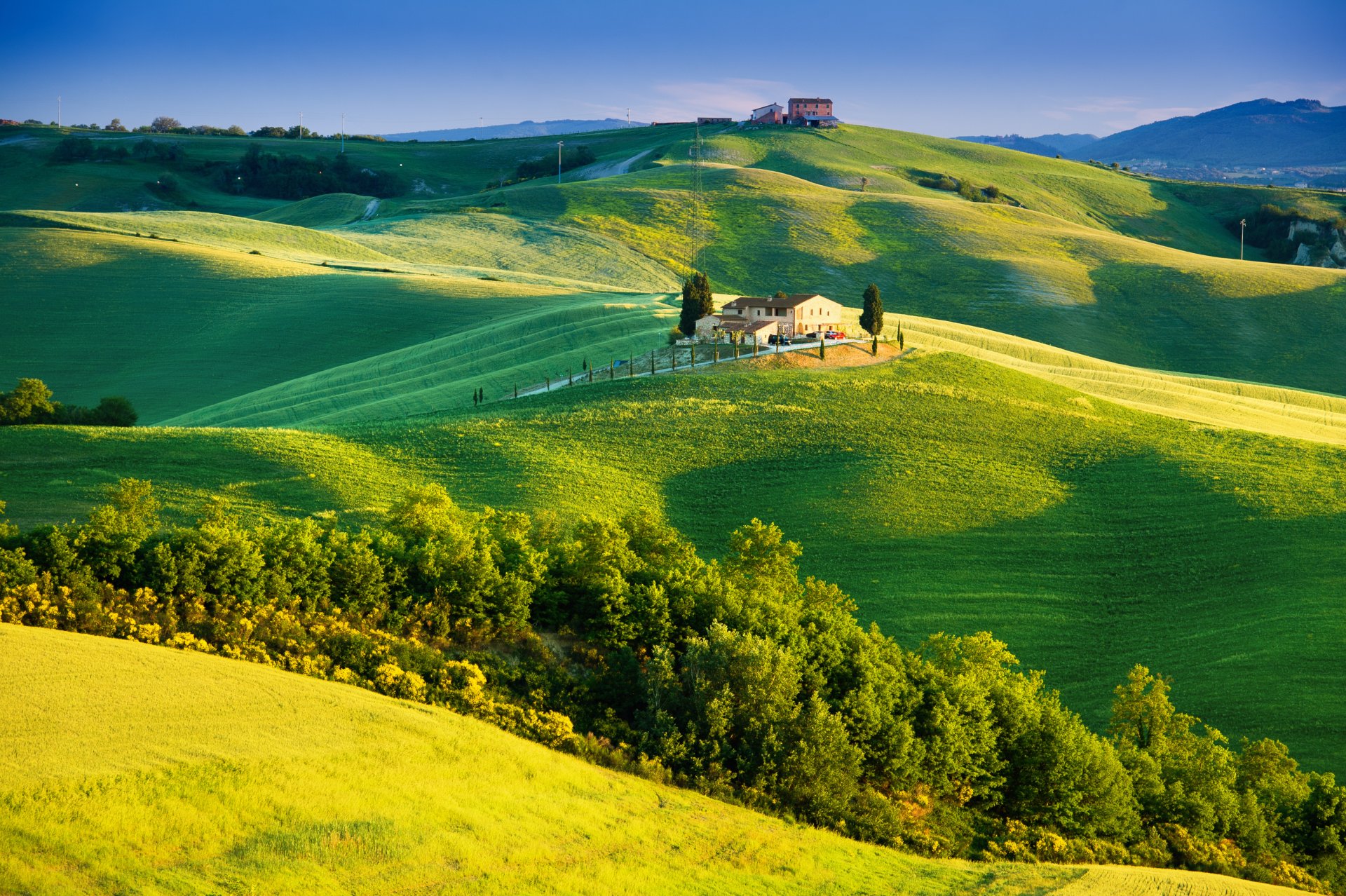 italy tuscany summer countryside landscape nature trees sky green field house sunlight summer countryside green field