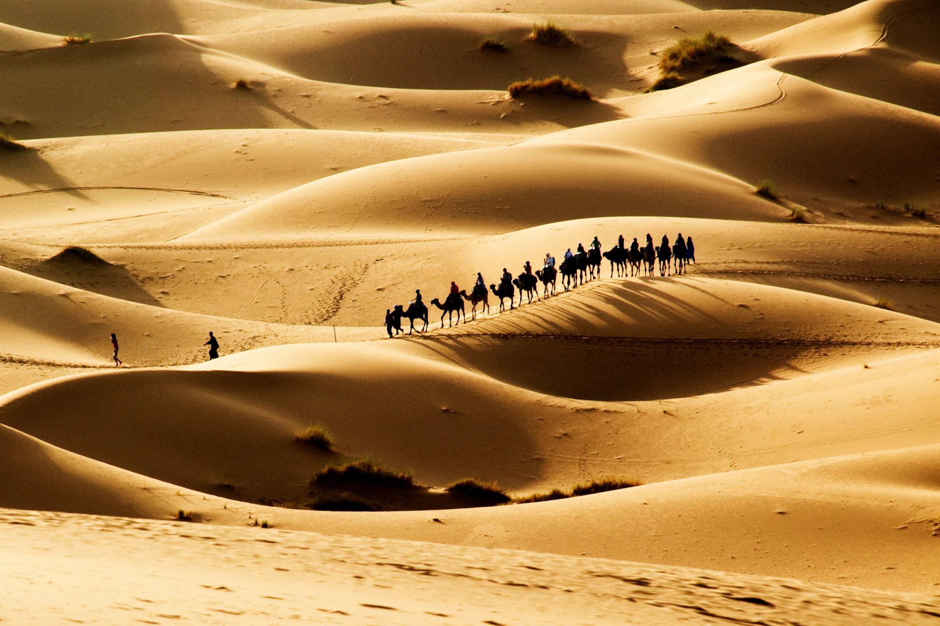 desert dunes caravan