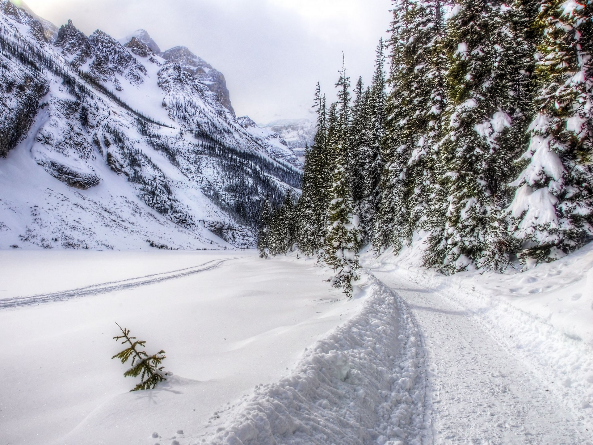 winter day snow forest mountains road winter landscape nature tree