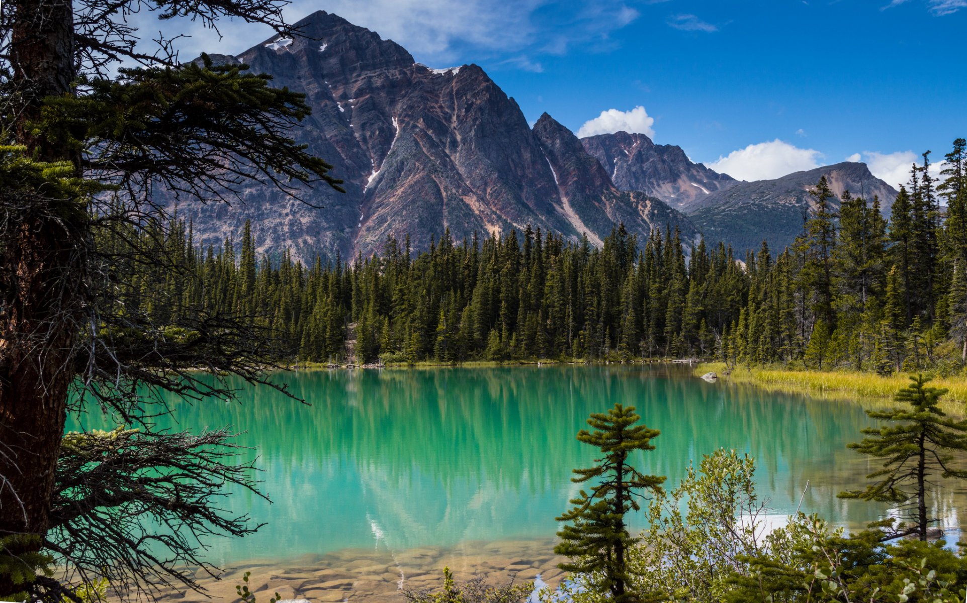 cavell-see jasper-nationalpark alberta kanada rocky mountains cavell-see jasper wald bäume