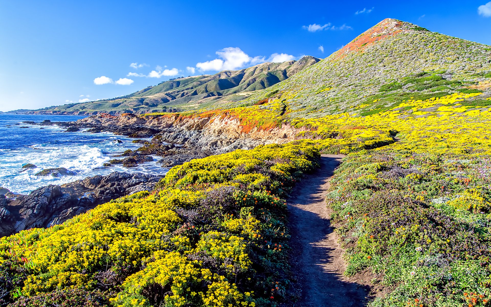 pacific ocean coast hills path nature