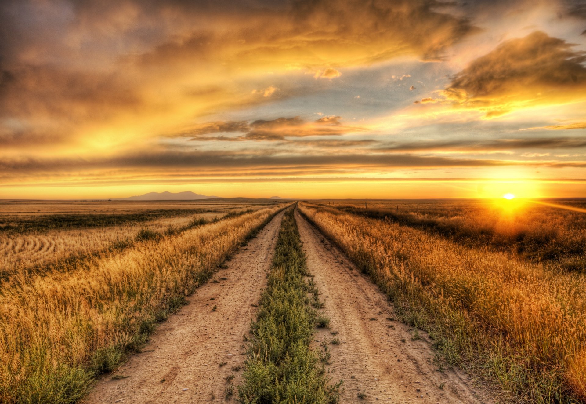 landschaft natur pflanze gehweg weg sonne horizont wolken himmel hintergrund tapete widescreen vollbild widescreen widescreen