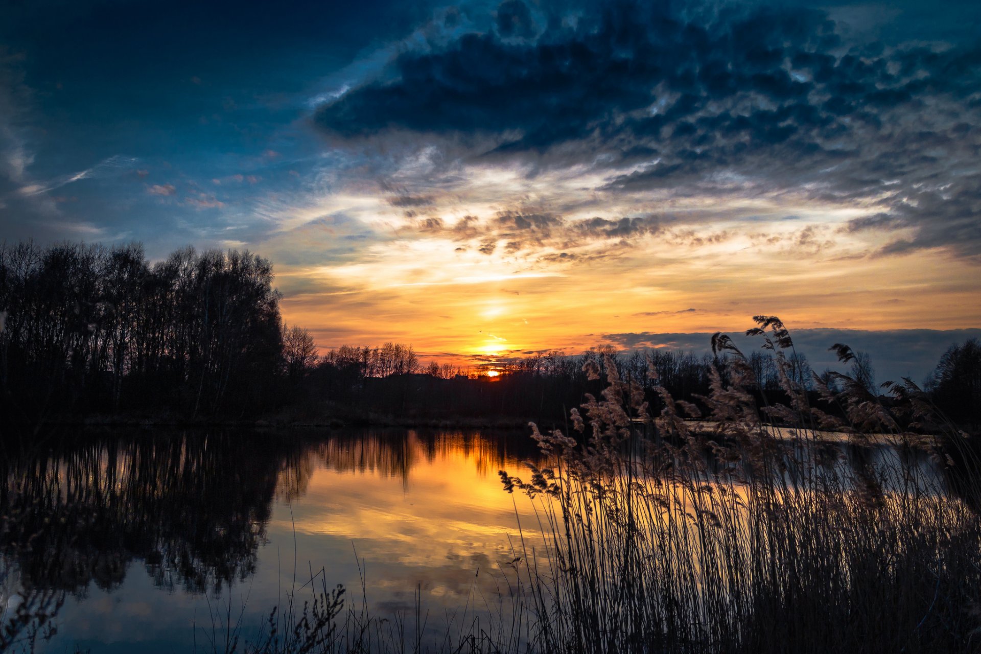 wald see schilf sonnenuntergang