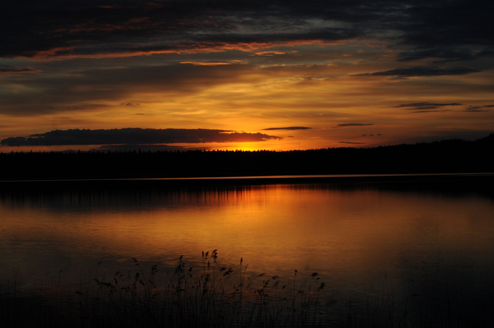 bosque lago puesta de sol crepúsculo