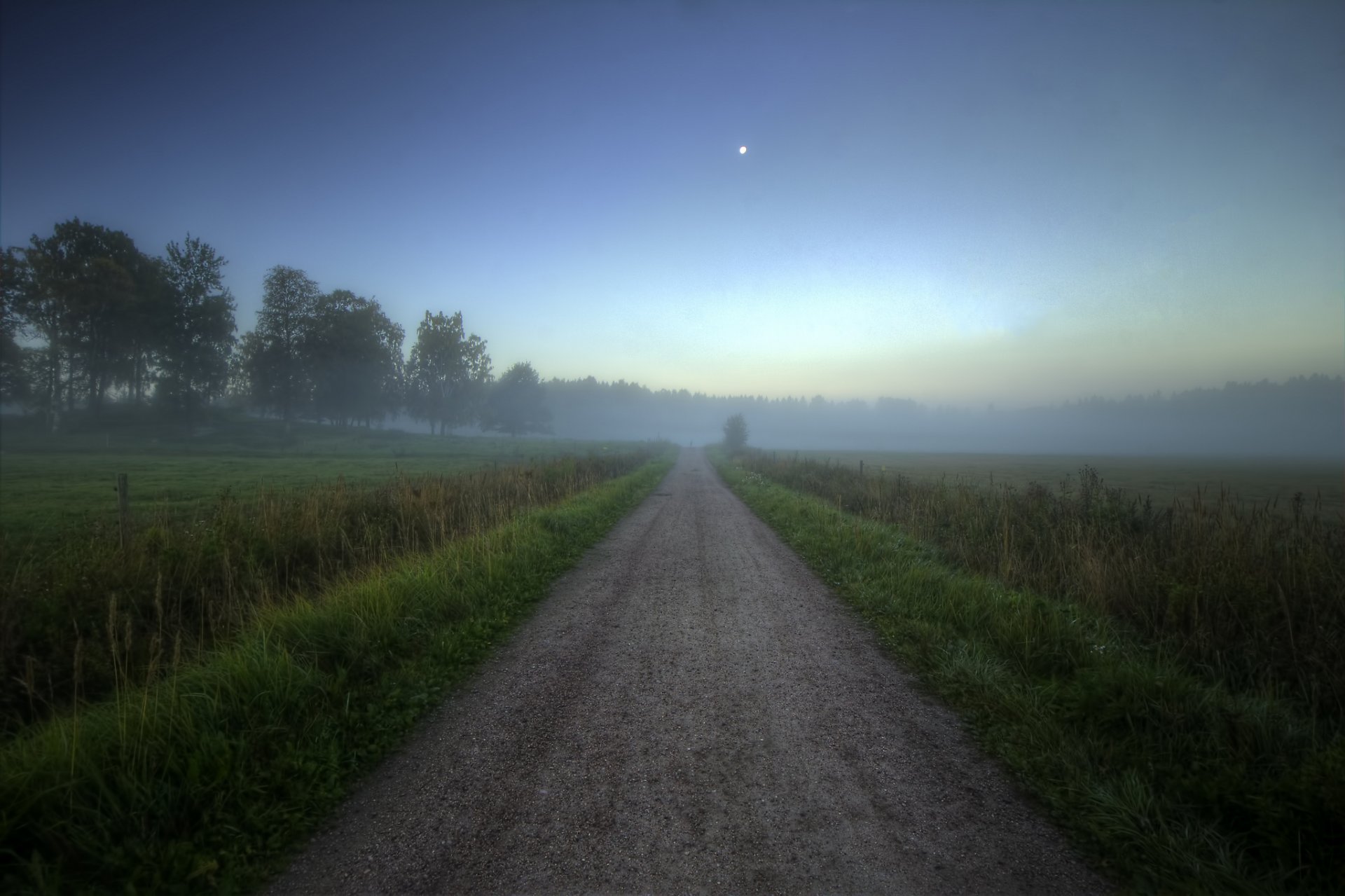 wald feld straße sommer nebel morgen morgendämmerung