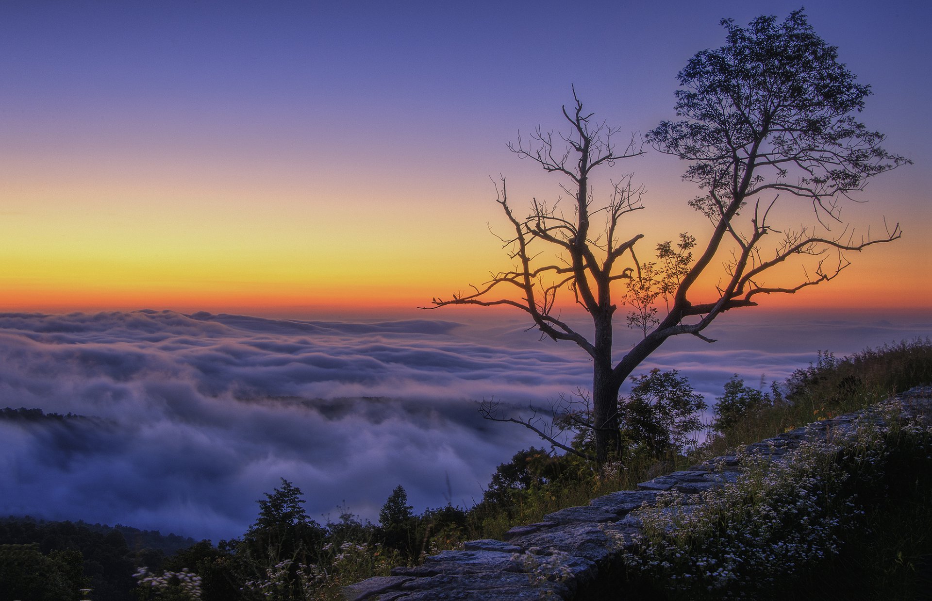 montagnes sommet arbre nuages matin lever du soleil