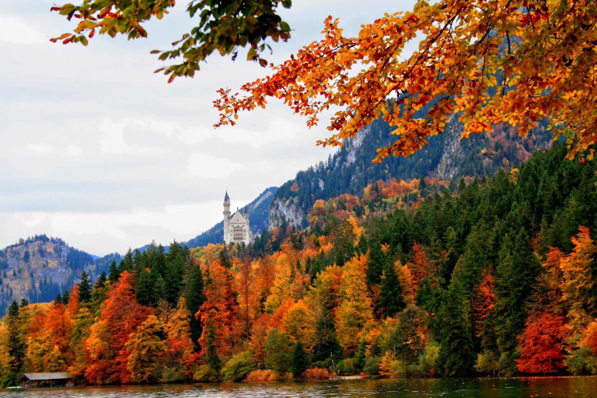 germany schwangau bavaria nature autumn forest castle river trees