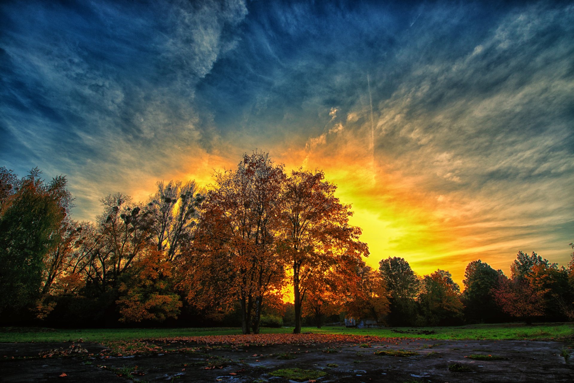 parco autunno sera tramonto