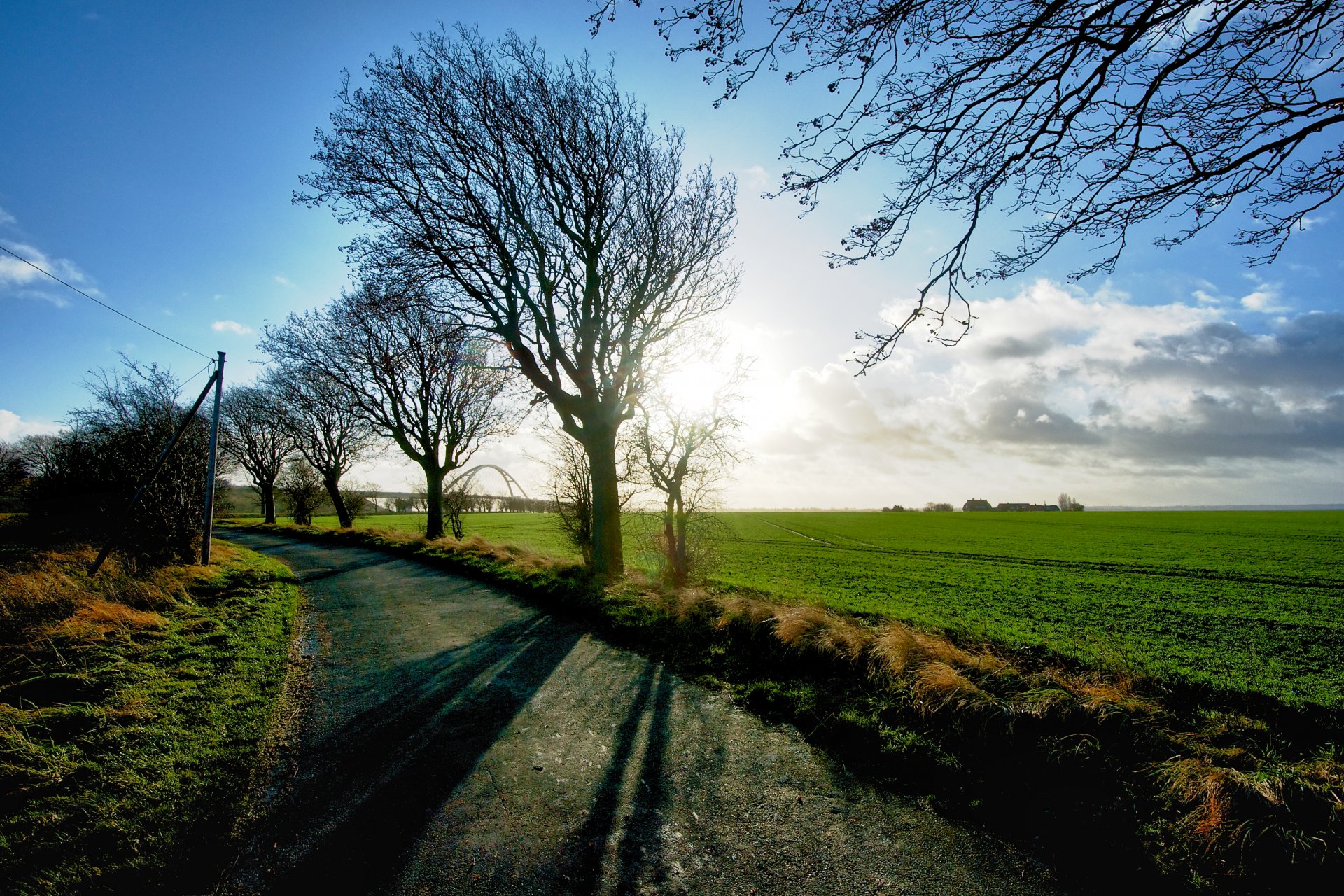 landschaft natur bäume baum grün wiese gras feld grün zweige gehweg weg schatten sonne himmel hintergrund tapete widescreen vollbild widescreen widescreen