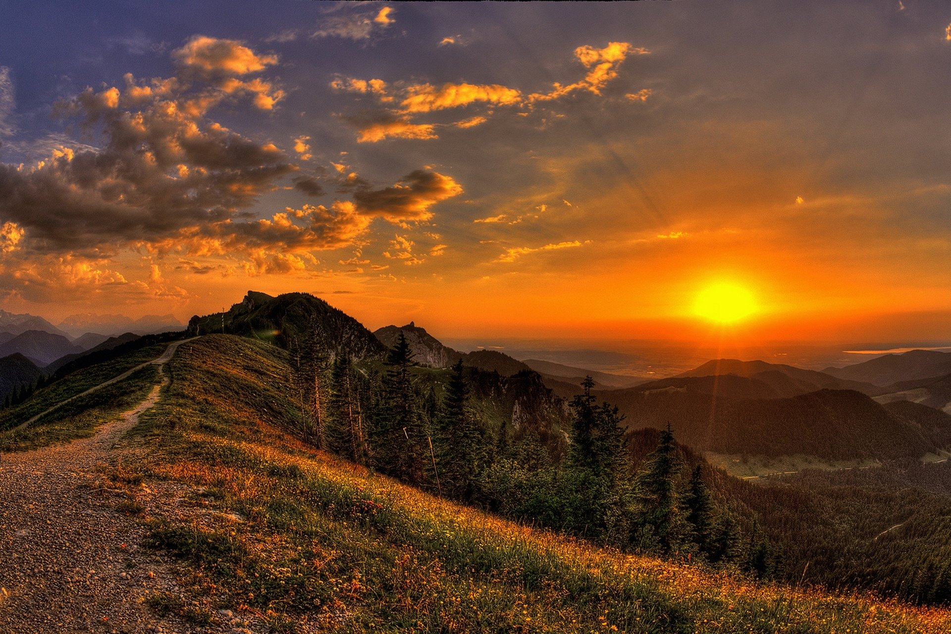 natura tramonto sole raggi vista sentiero montagne fiori paesaggio erba alberi cielo nuvole vista foresta pista