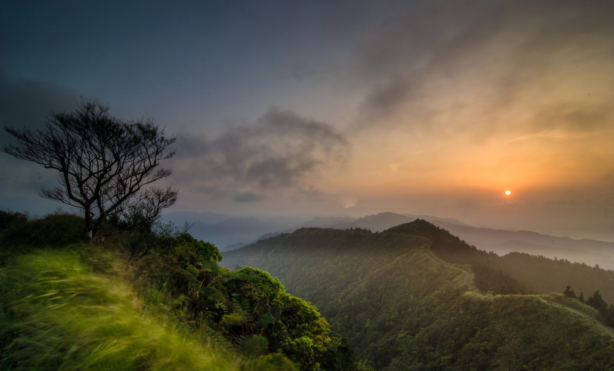 montañas bosques árbol sol nubes amanecer