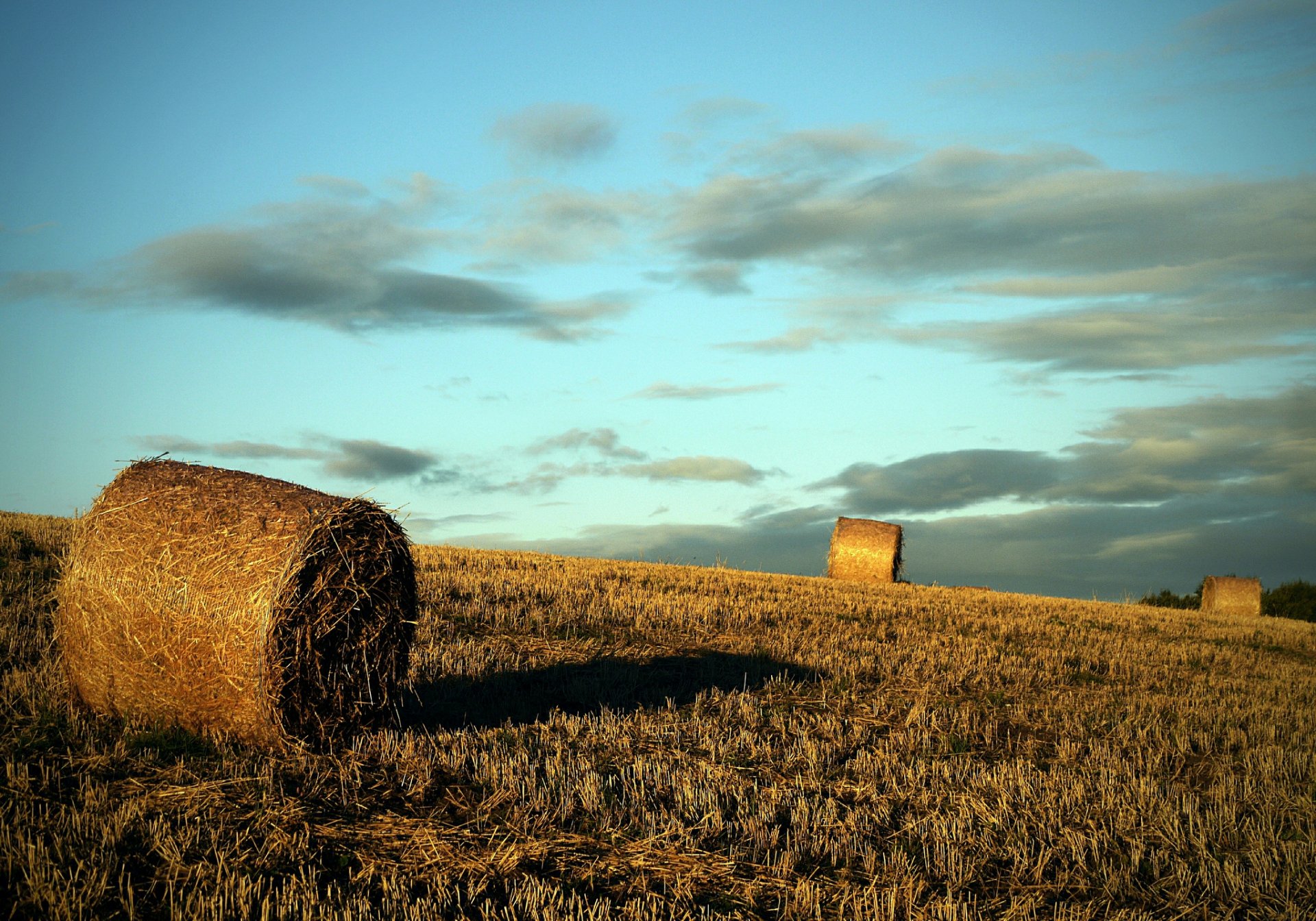 campo cosecha rollos noche