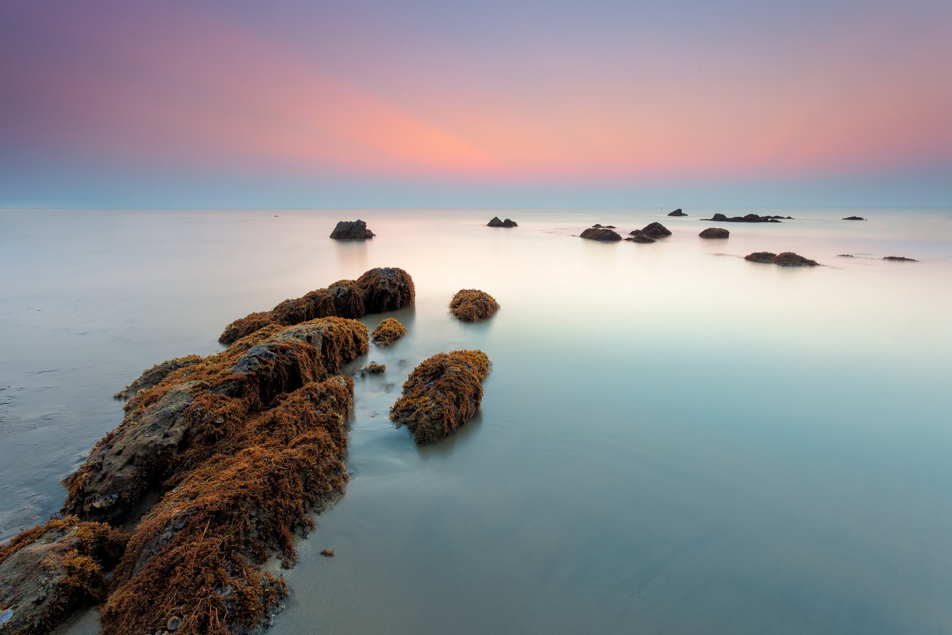 mer pierres algues matin aube