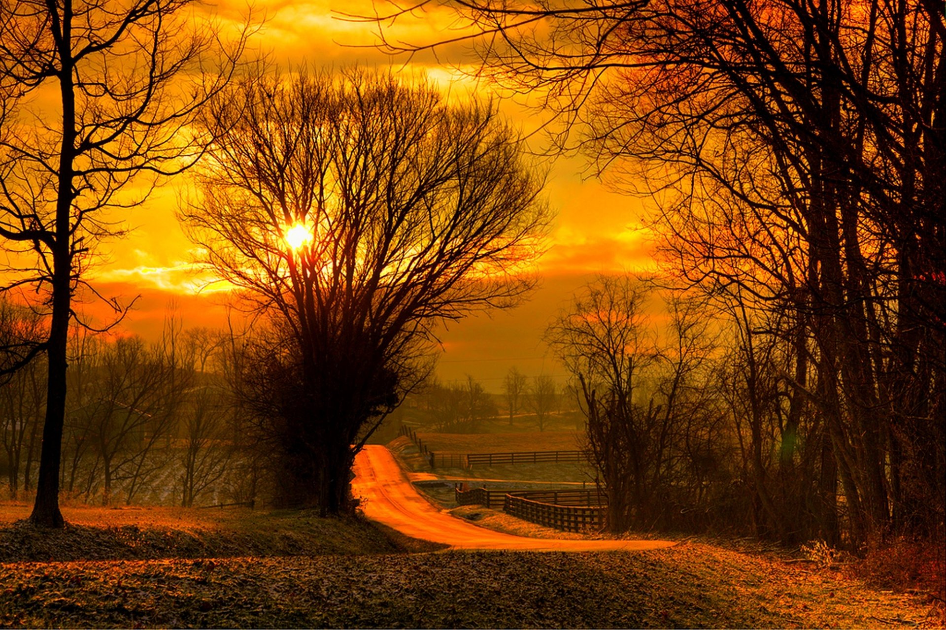 naturaleza sol cielo puesta de sol bosque campo árboles hojas colorido camino otoño caída colores paseo salida del sol