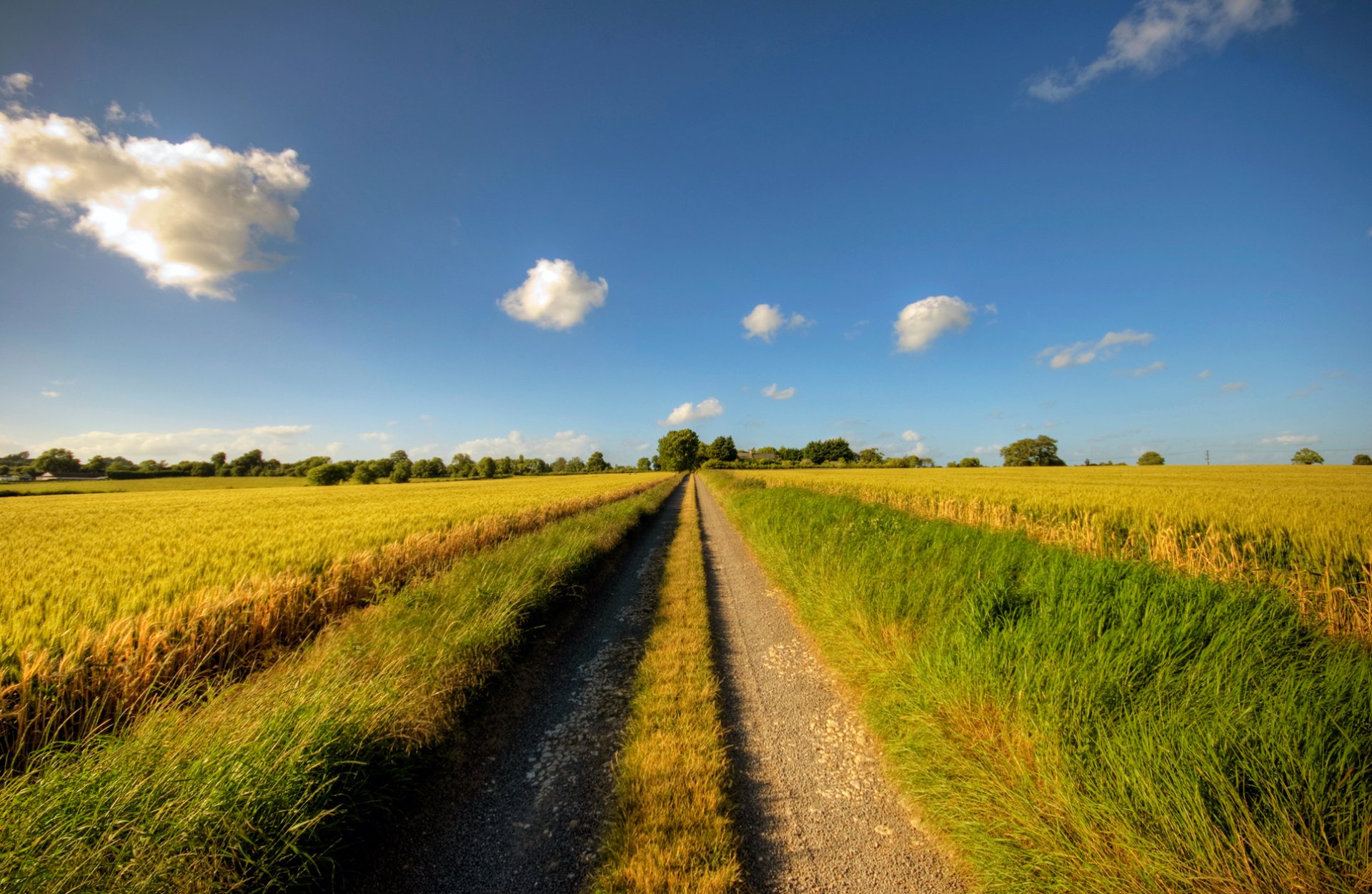 strada percorso giornata di sole nuvole cielo distanza erbe cereali estate