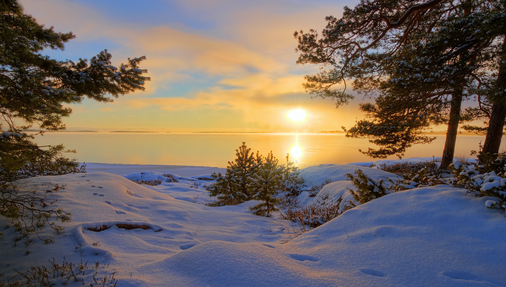 inverno lago alberi neve tracce sera