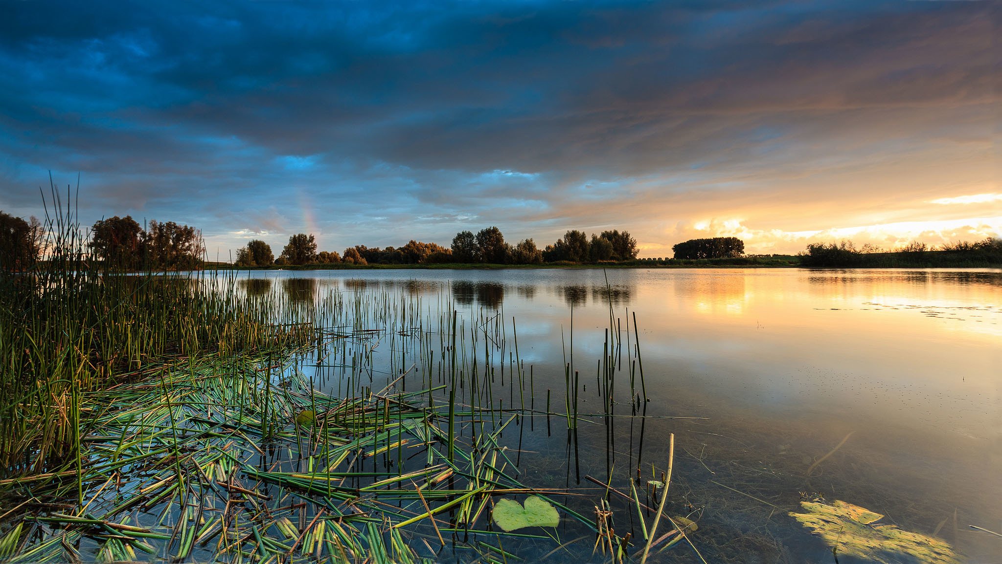 arbres lac coucher de soleil