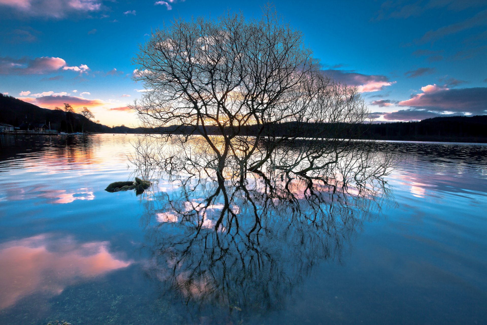 bosque lago árboles reflexión puesta de sol