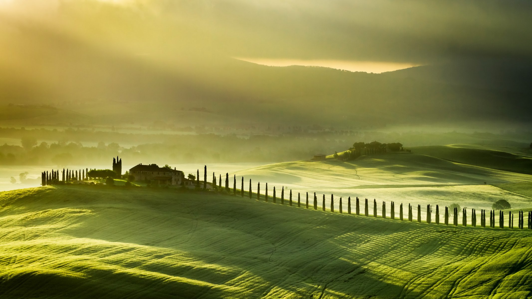 toscane italie champ brouillard paysage