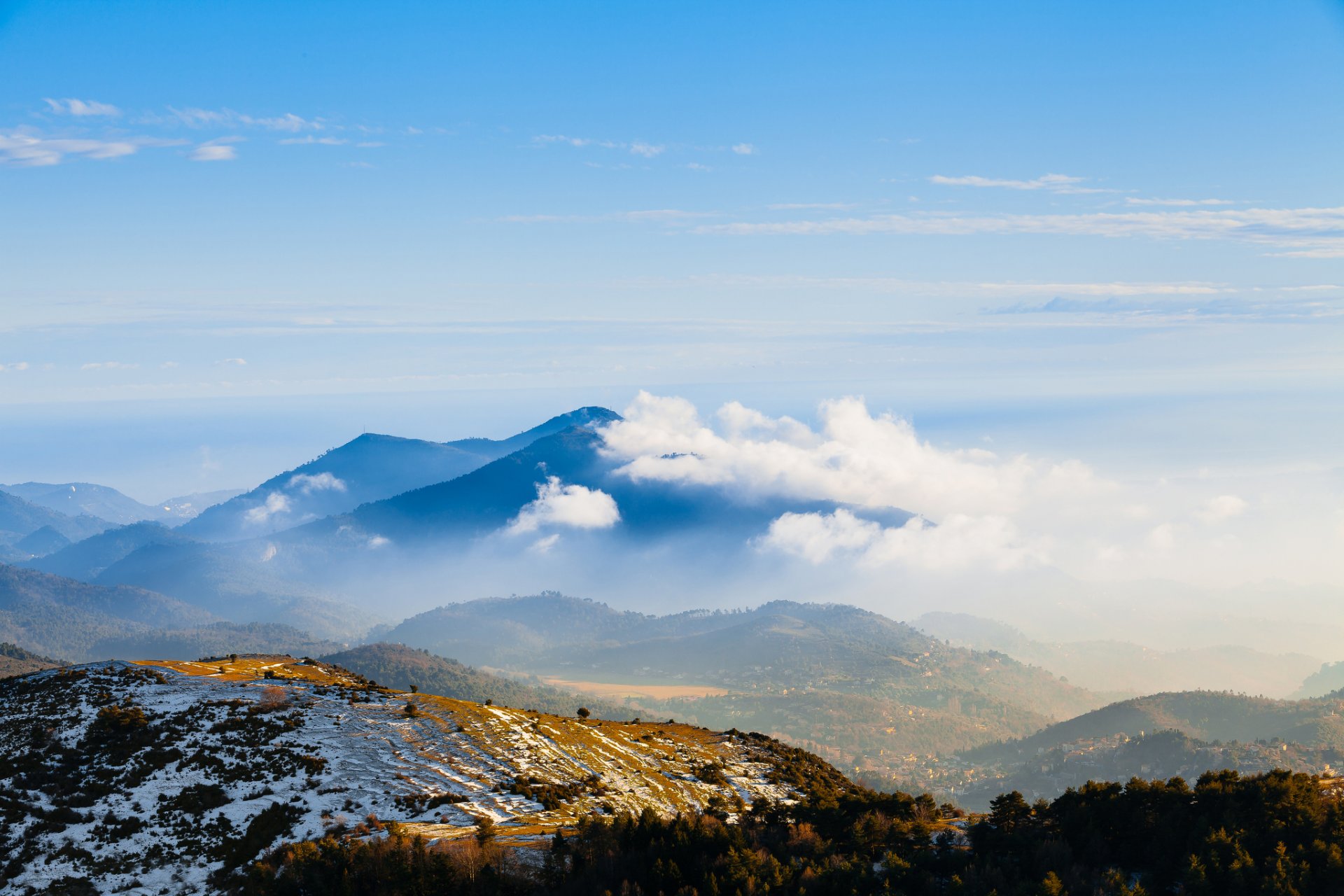 montañas picos bosque nieve invierno mañana