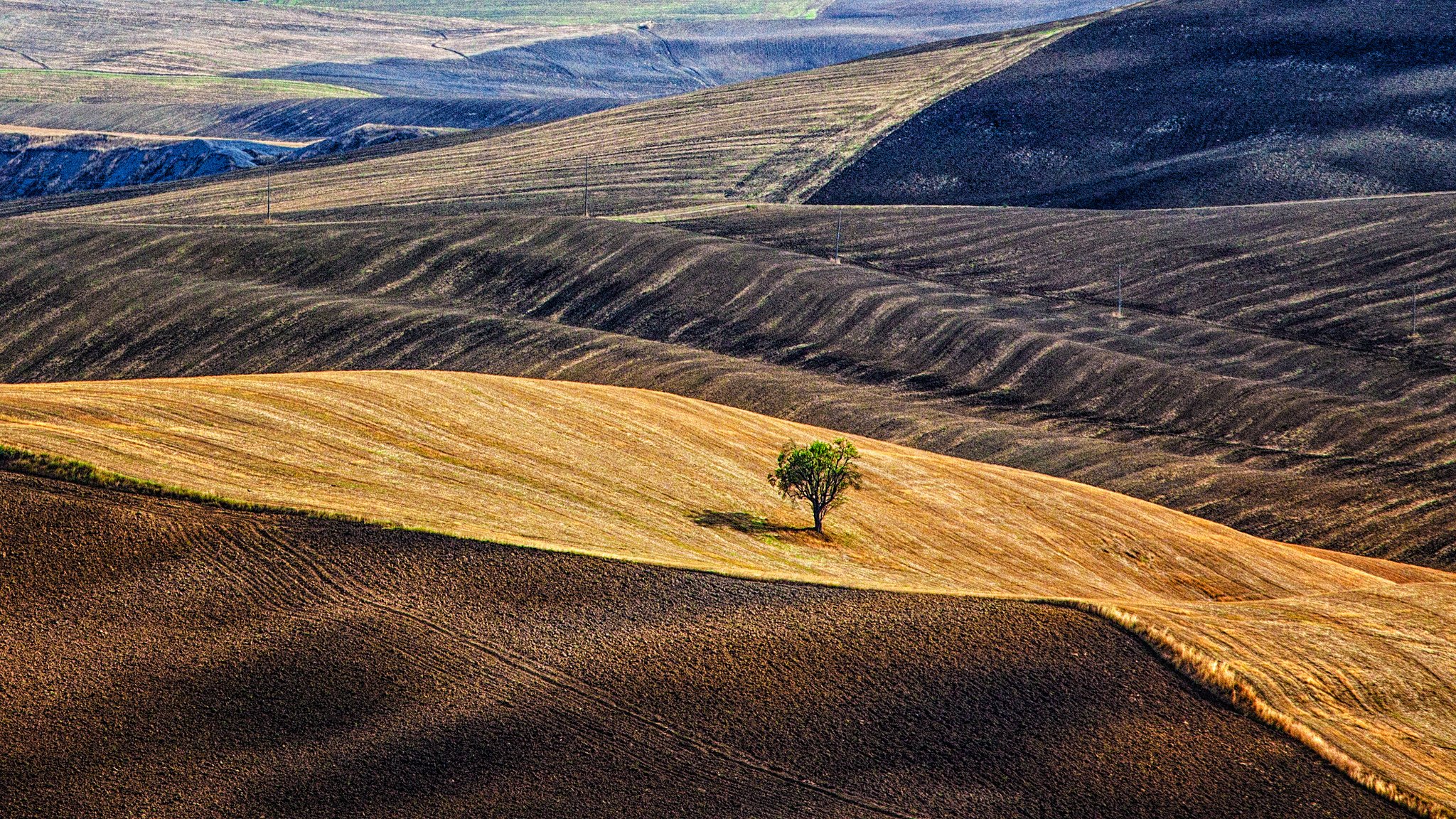 italie toscane collines champs bois