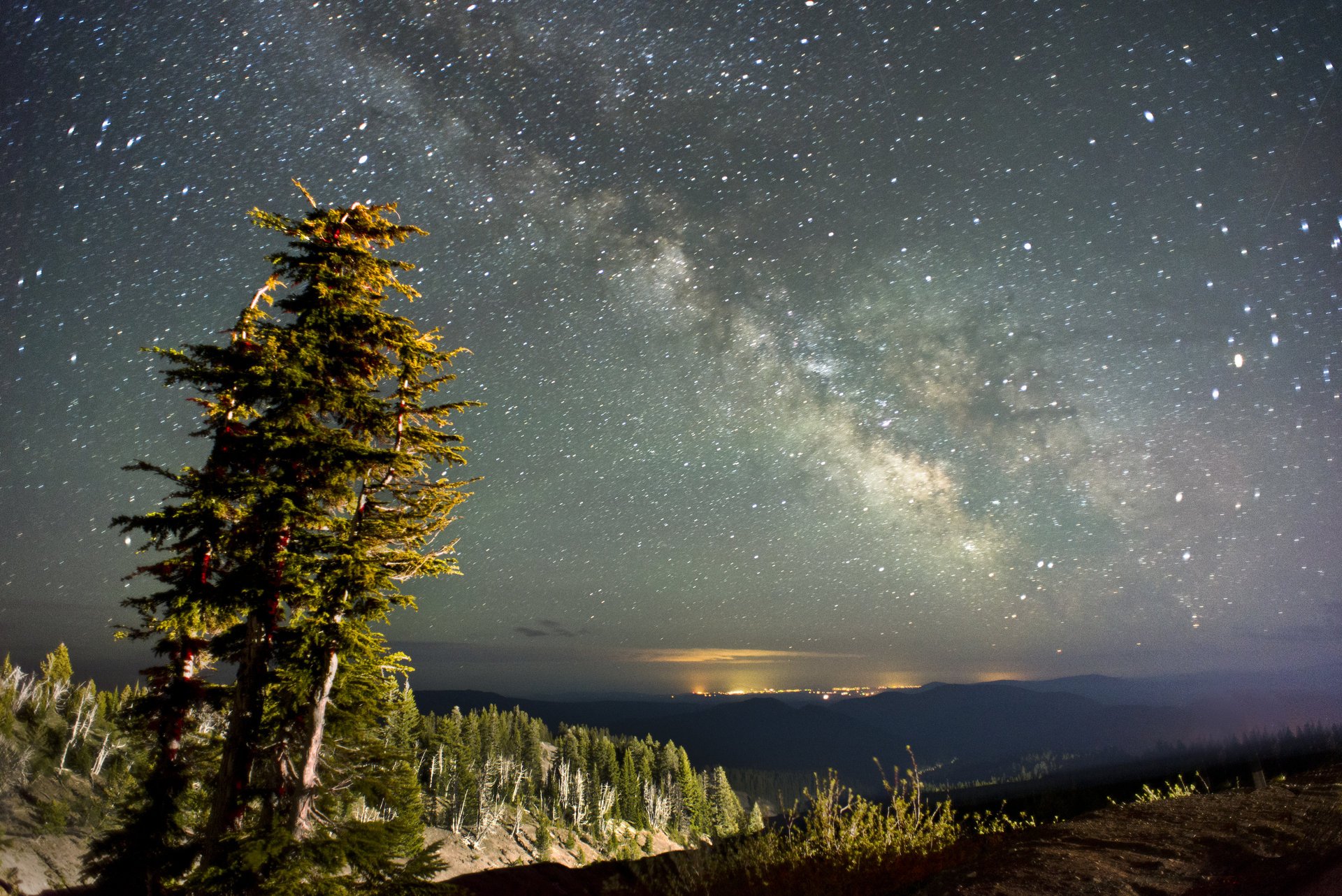 naturaleza paisaje árboles cielo estrellas vía láctea