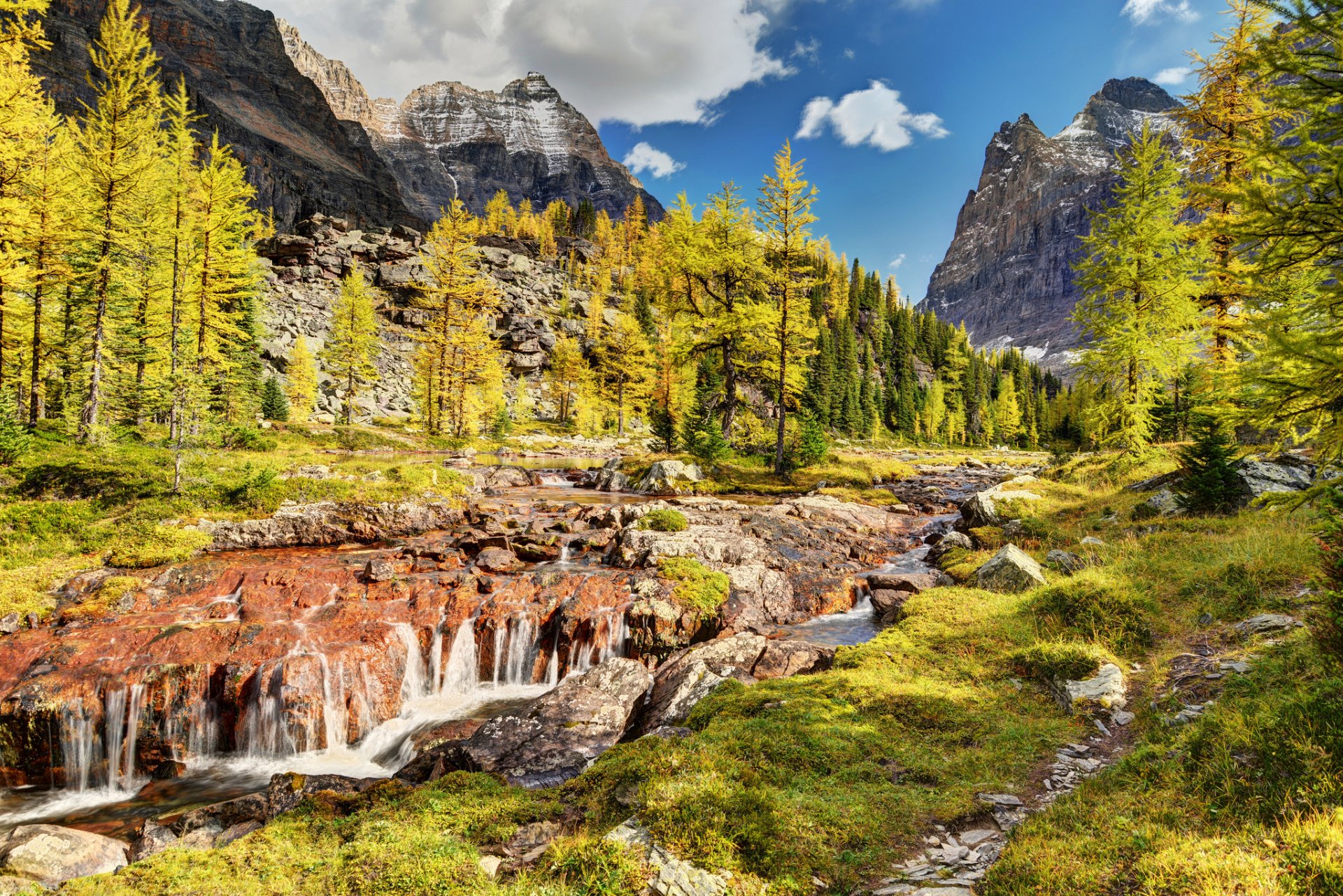 park narodowy yoho kanada góry drzewa rzeka