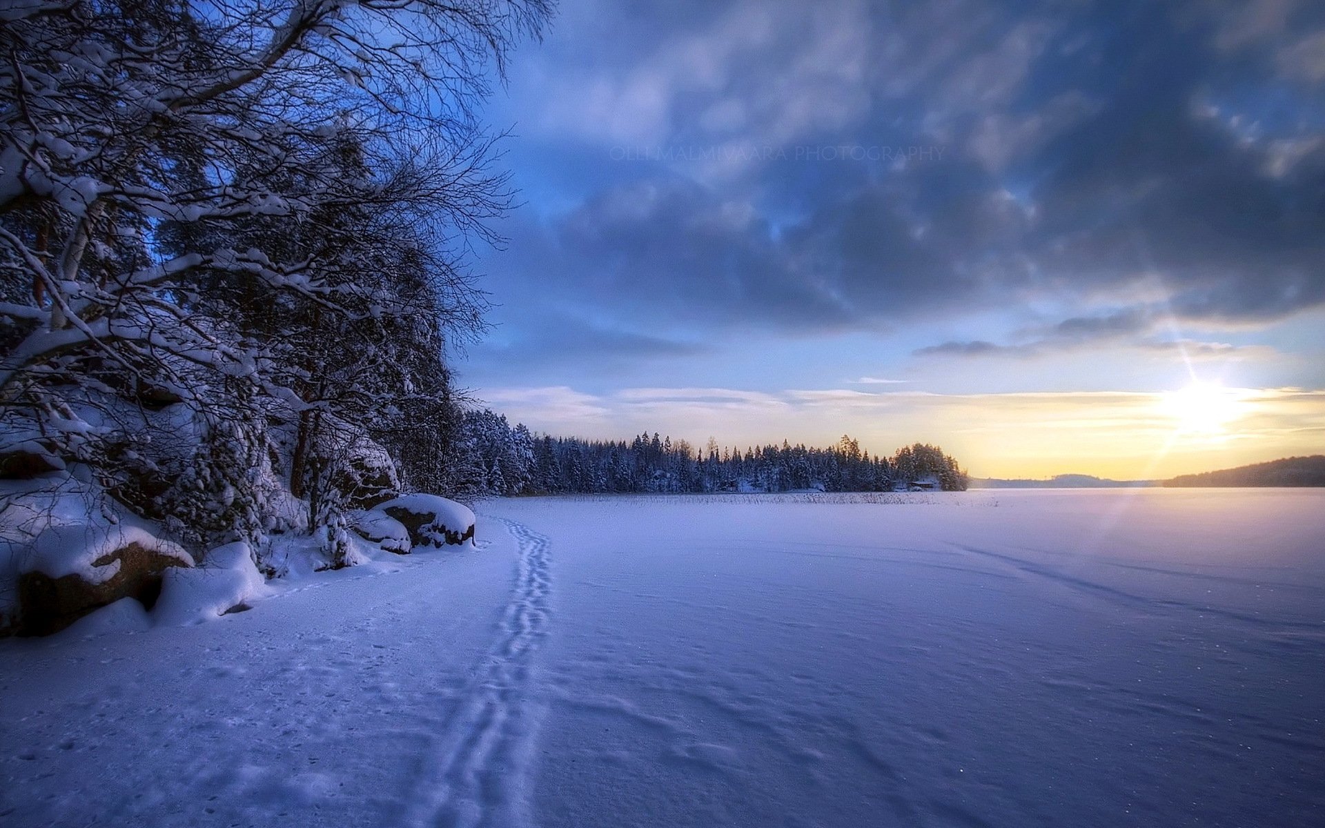 feld winter schnee landschaft