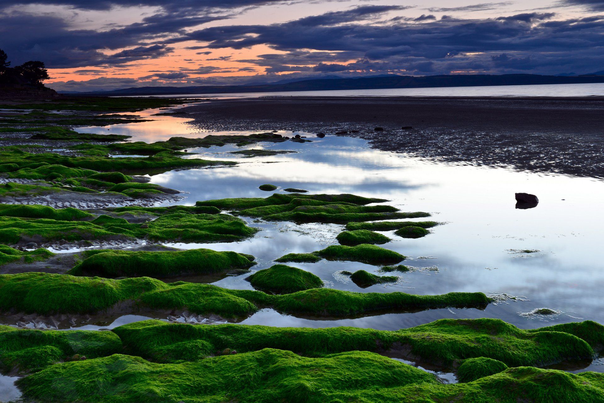 море пляж водоросли закат