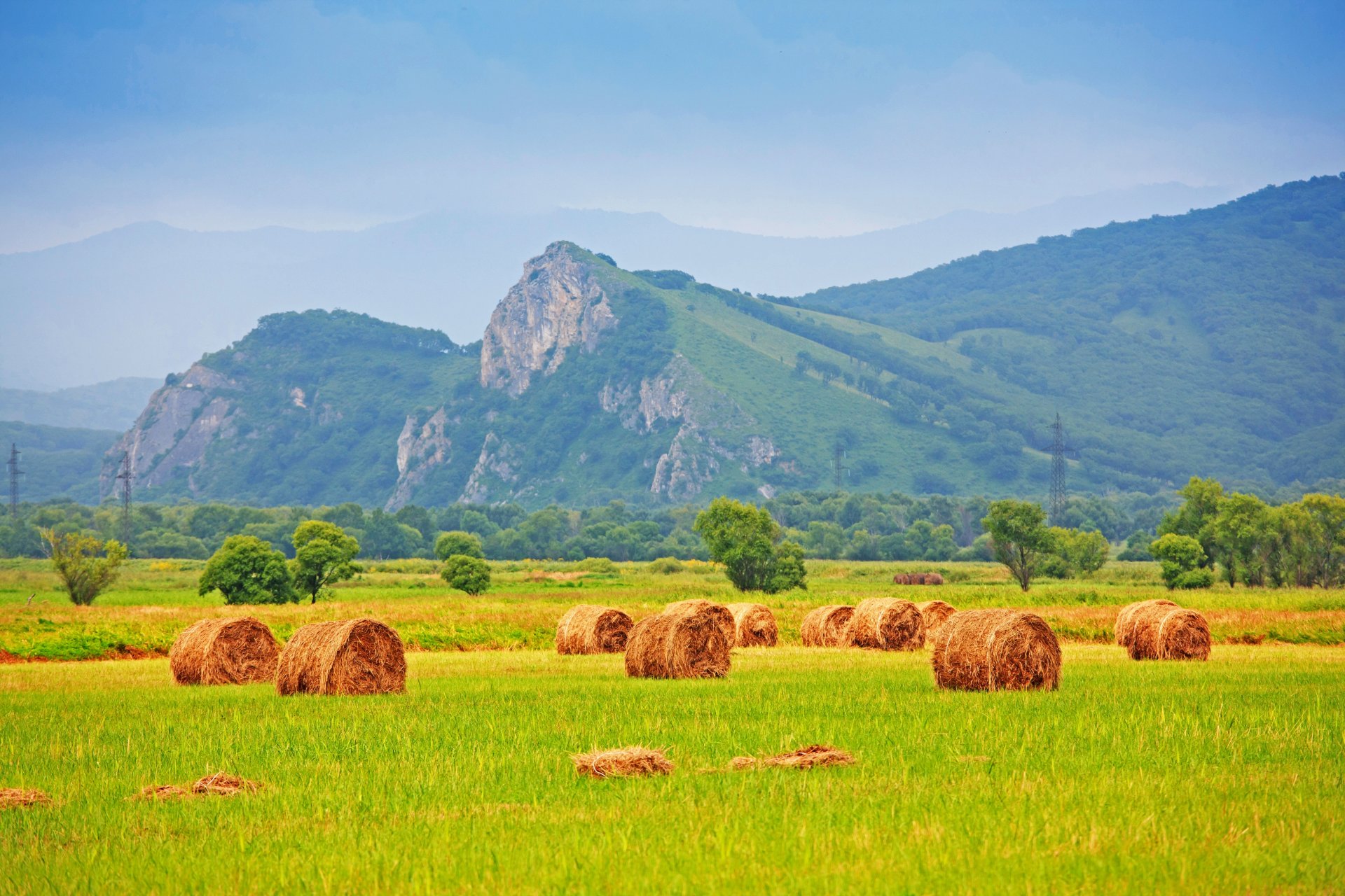 the field hay stack straw grass tree mountain nature