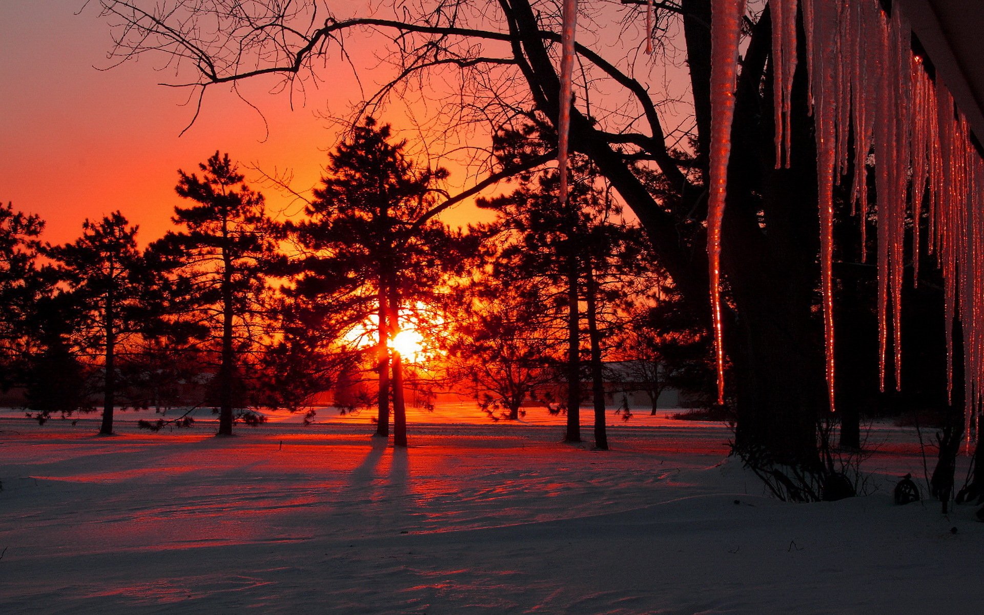 winter schnee bäume eiszapfen sonne sonnenuntergang