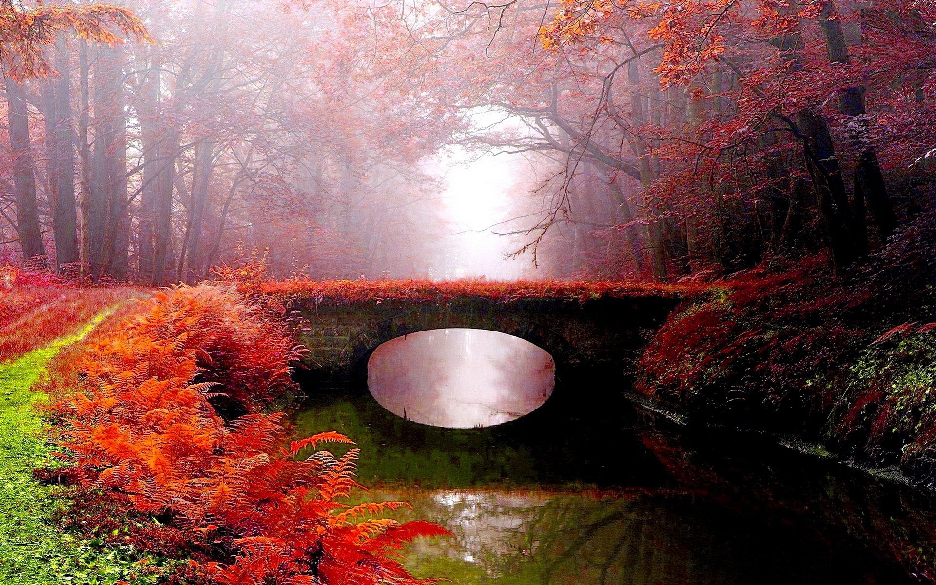 parque río puente niebla otoño