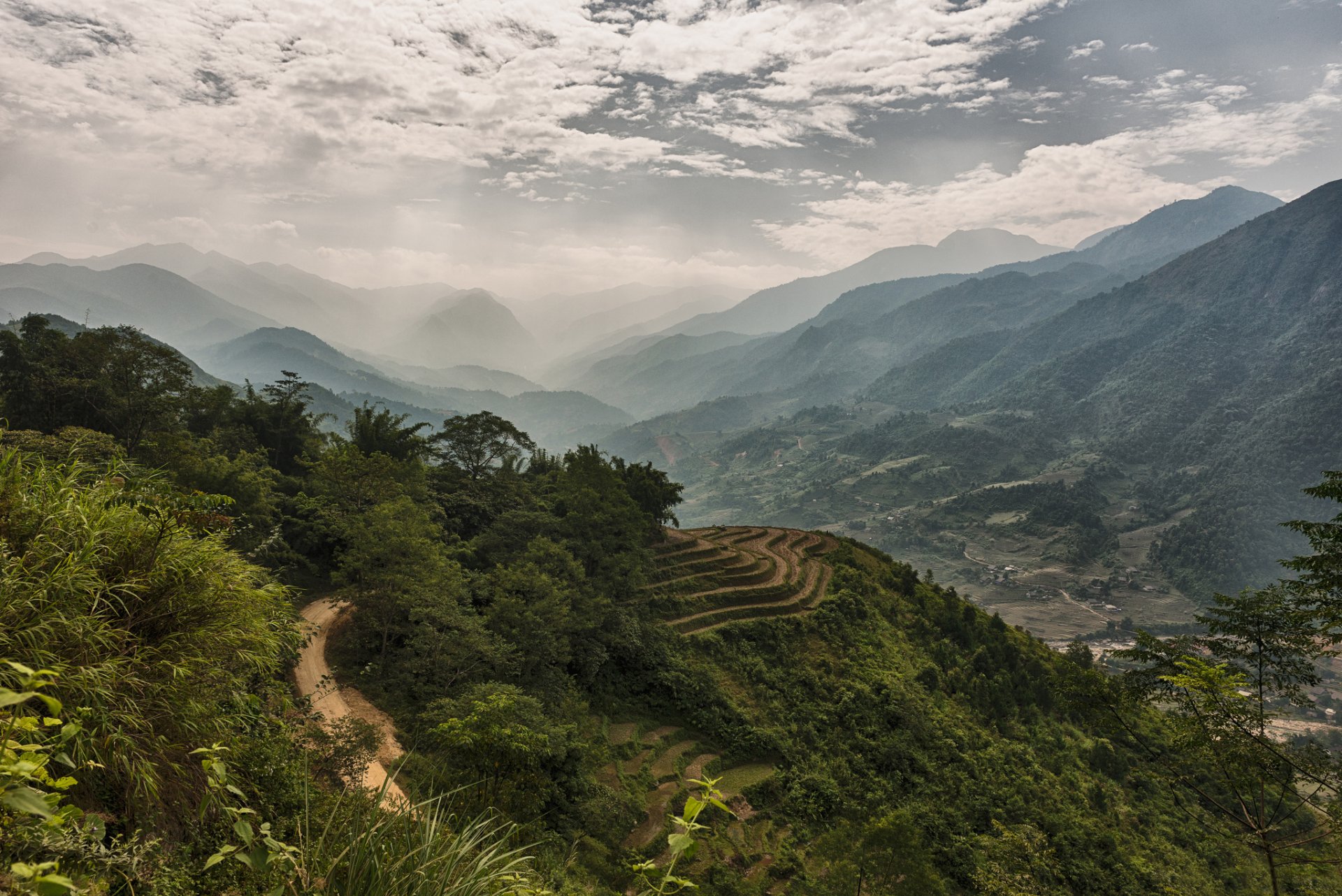 vietnam mountain forest valley fog