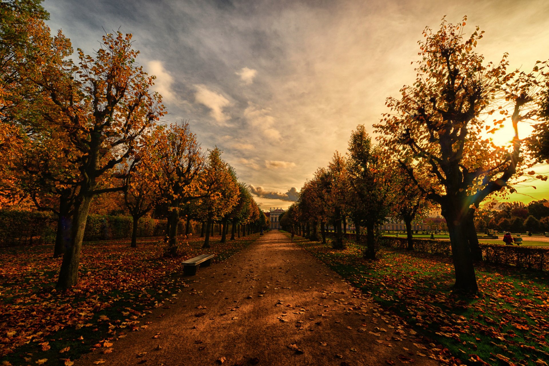 park alley bench autumn night