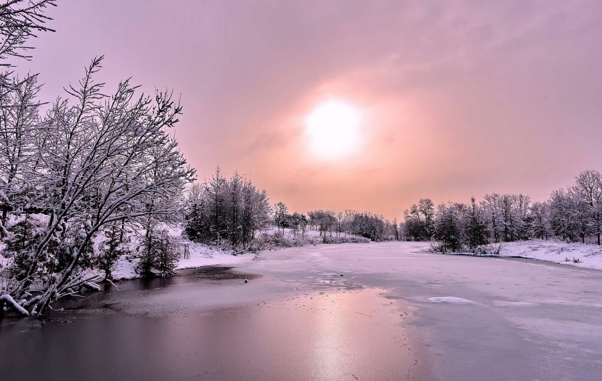 winter snow forest river next sun cloud