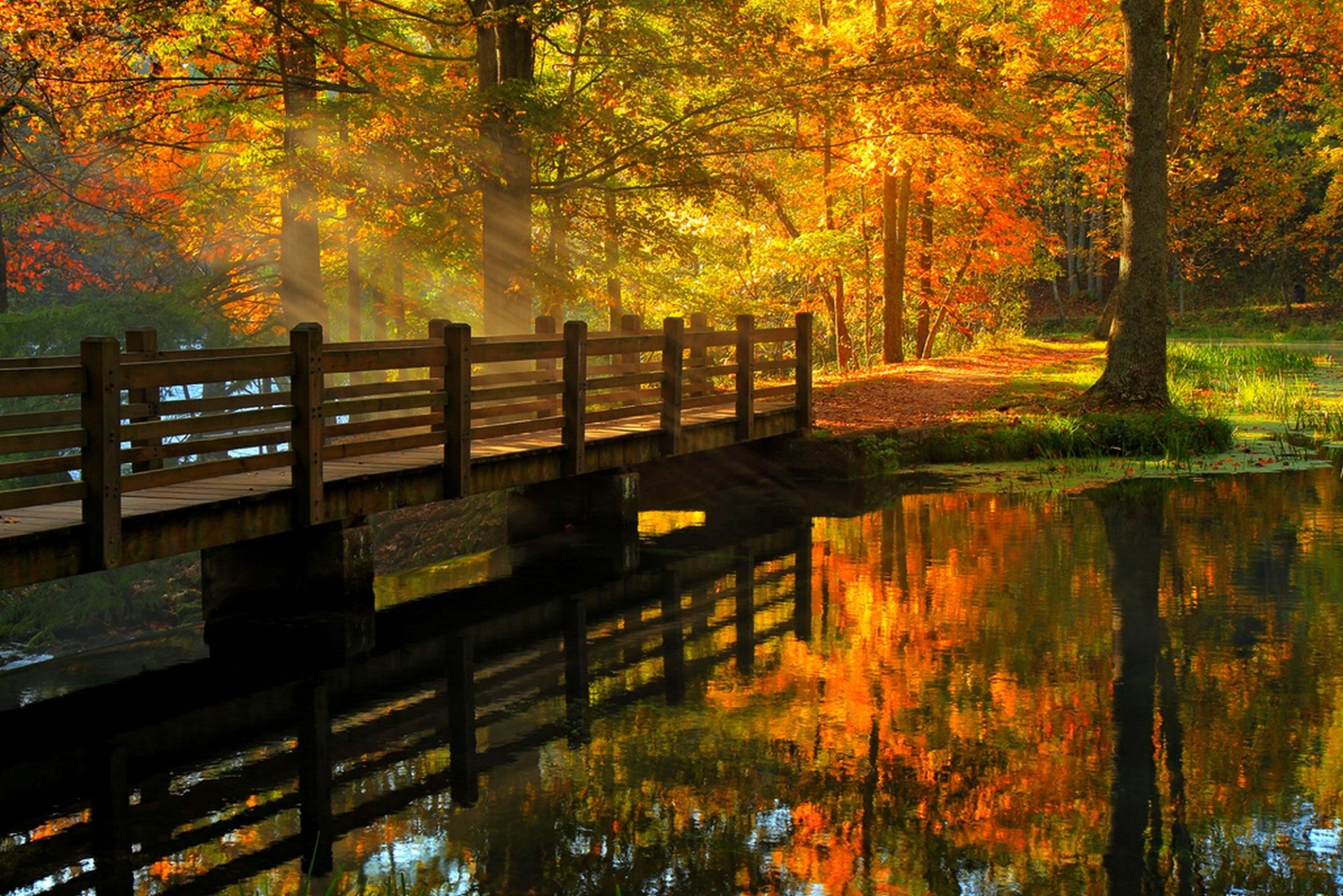 liście park aleja drzewa las jesień spacer hdr natura rzeka woda widok upadek most odbicie widok