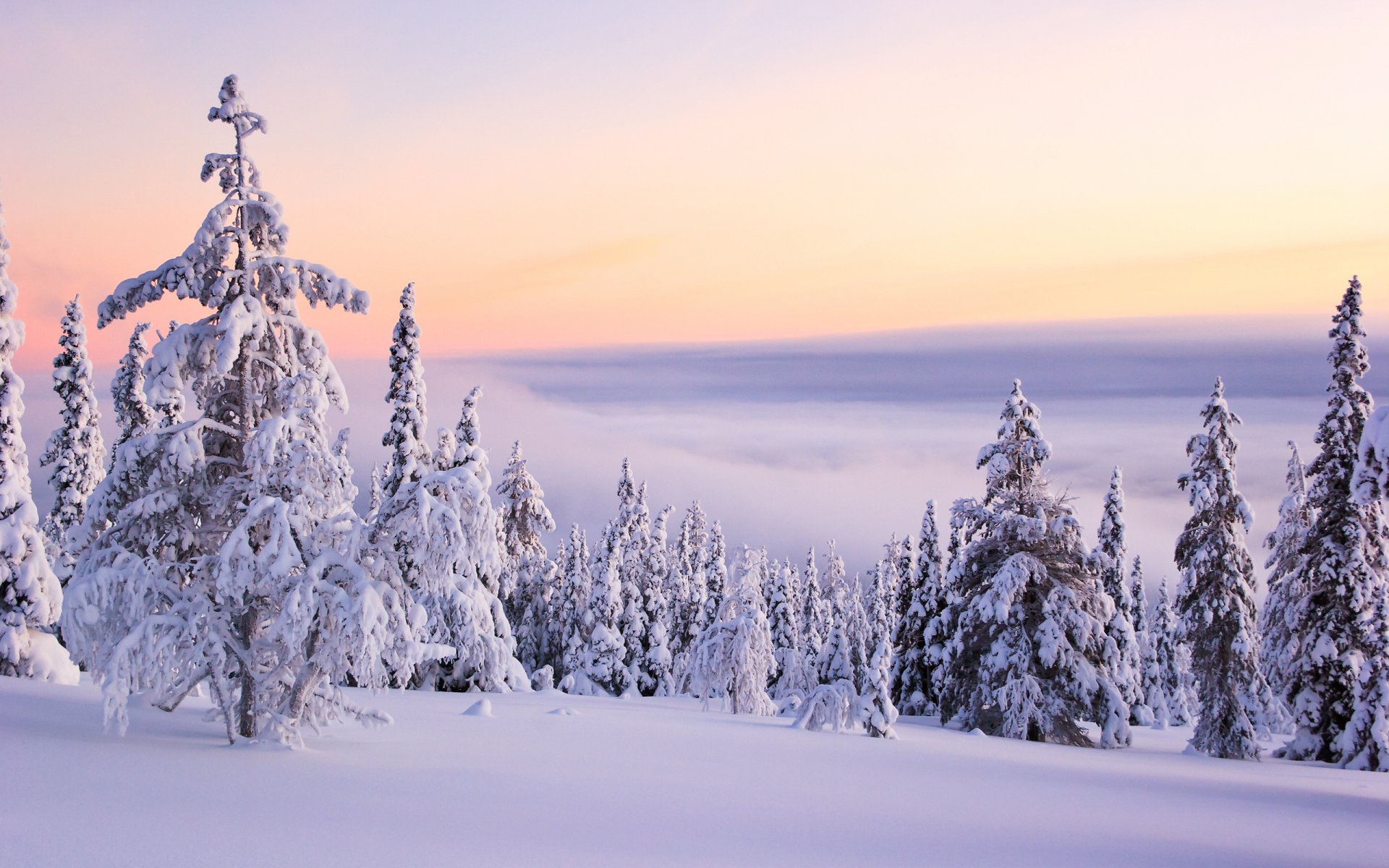 hiver neige arbres pente ciel nuages