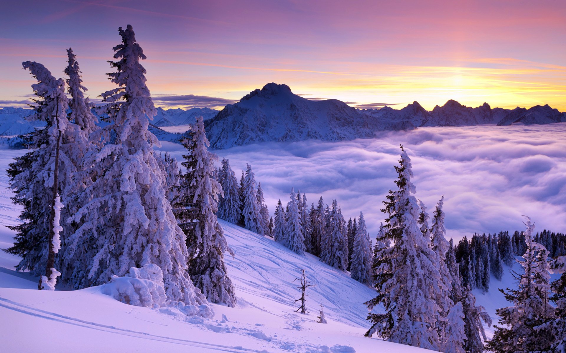 invierno montañas abetos árboles nieve niebla nubes cielo naturaleza