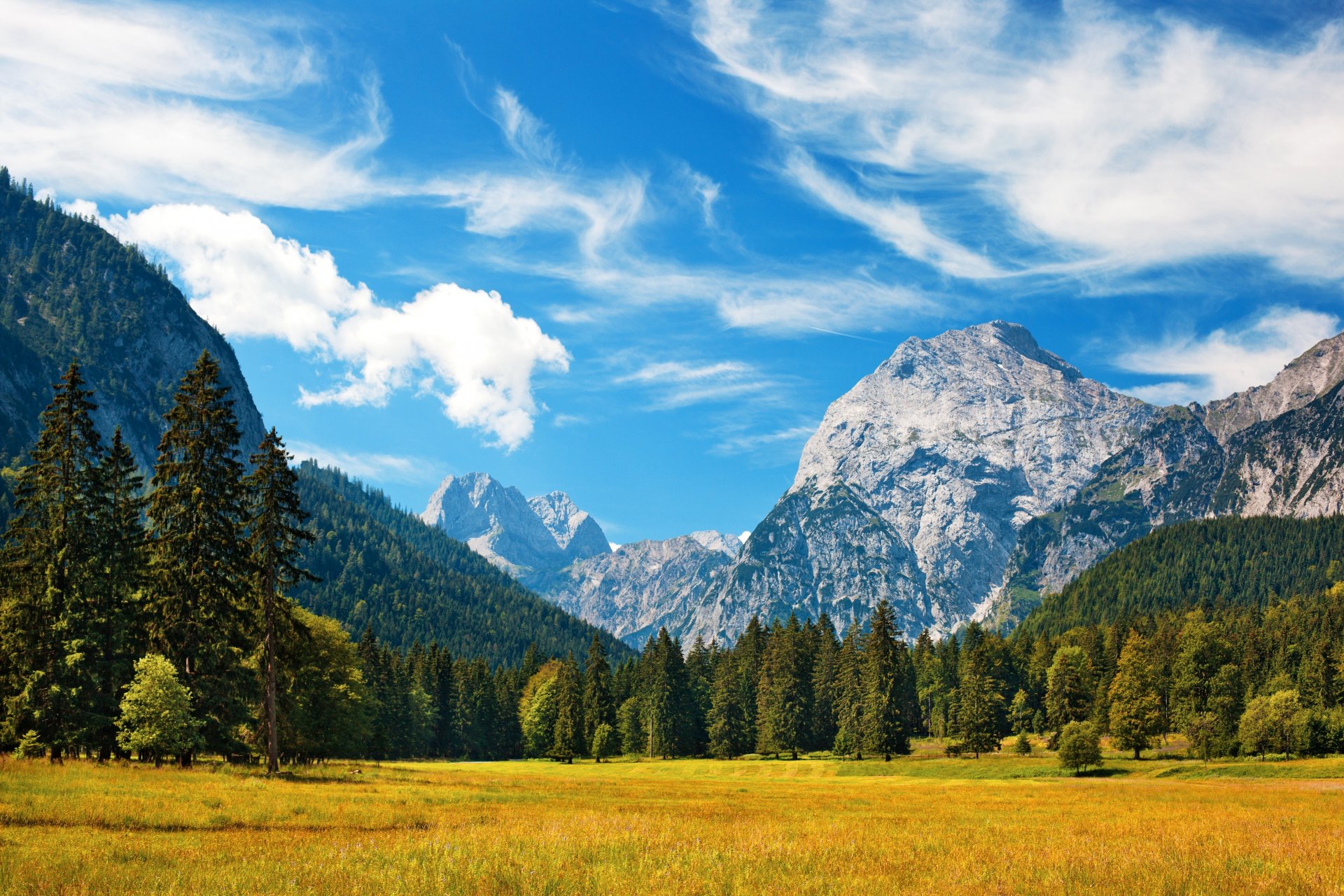 alpen alpen berge schweiz himmel wolken natur gras wiese wald landschaft