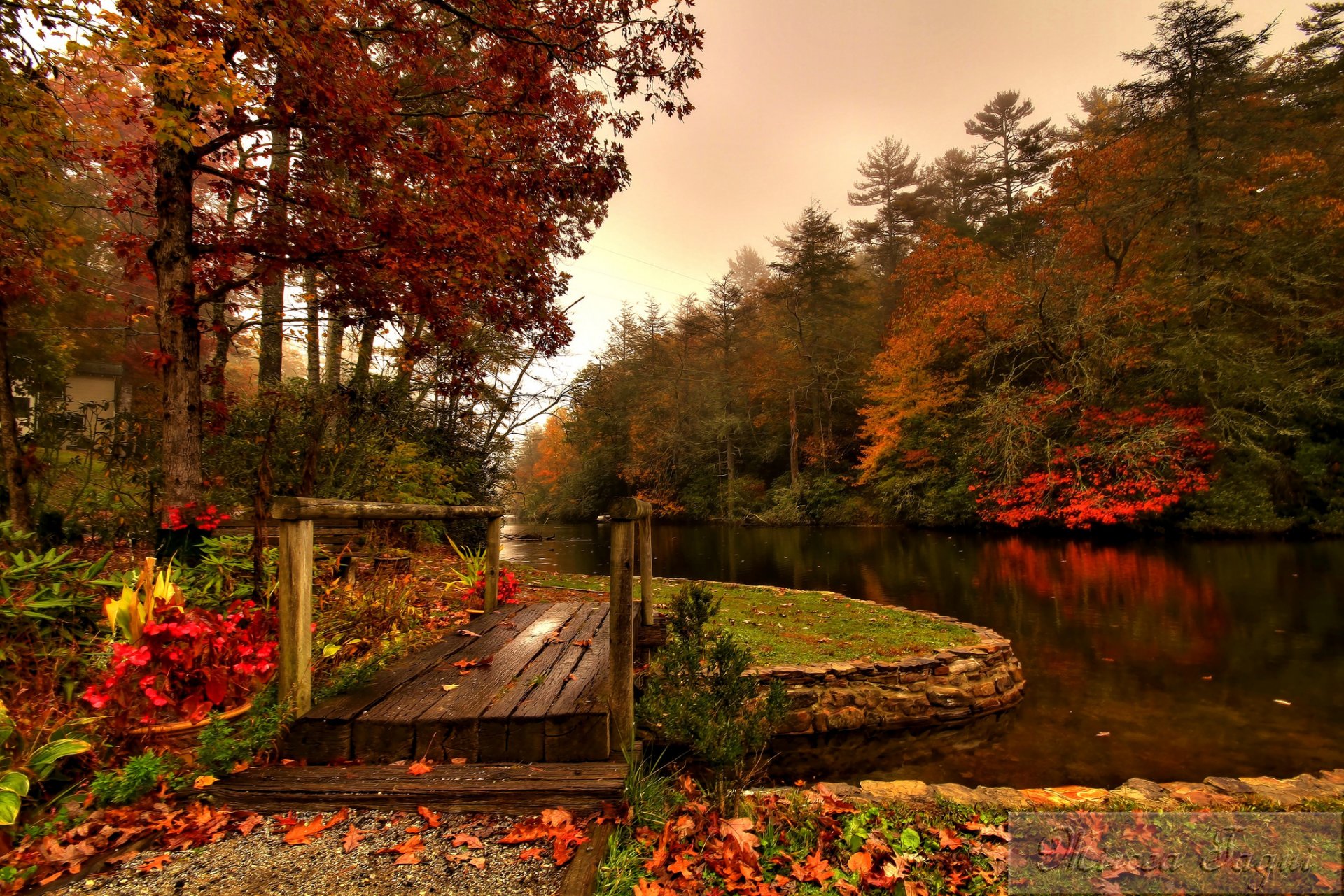 bosque río puente otoño