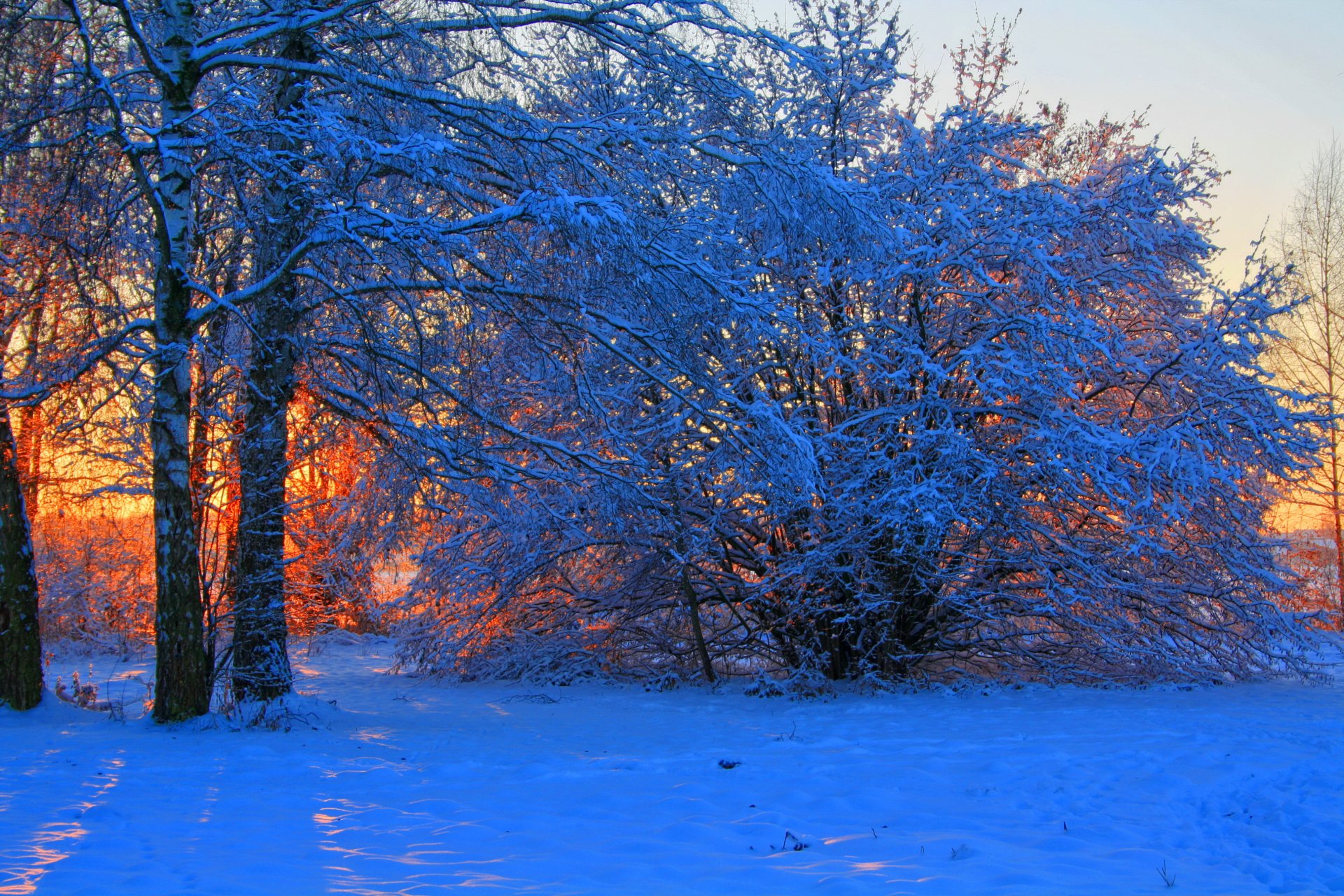 invierno amanecer puesta del sol nieve árboles ramas naturaleza foto