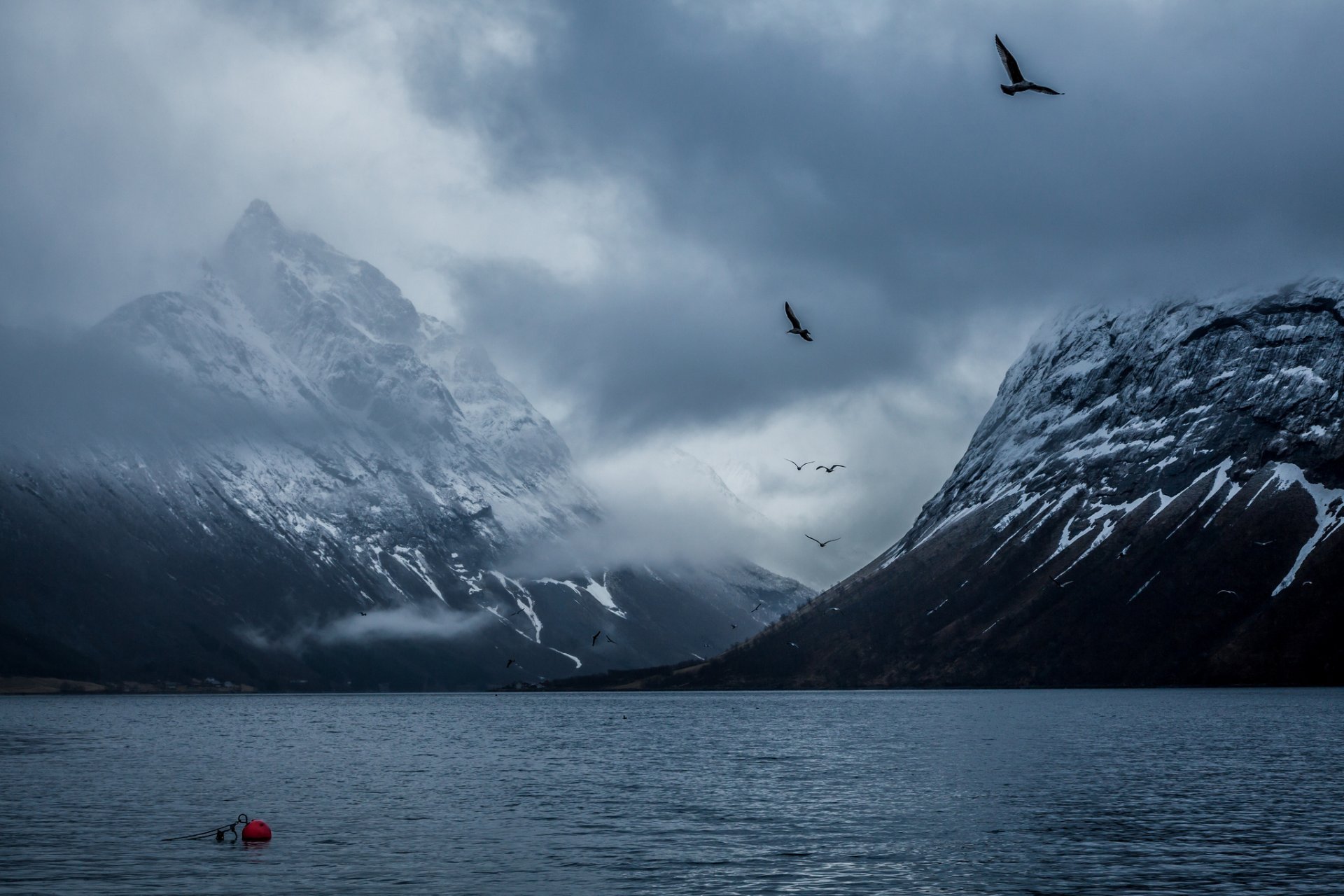 noruega montañas bahía aves bakú