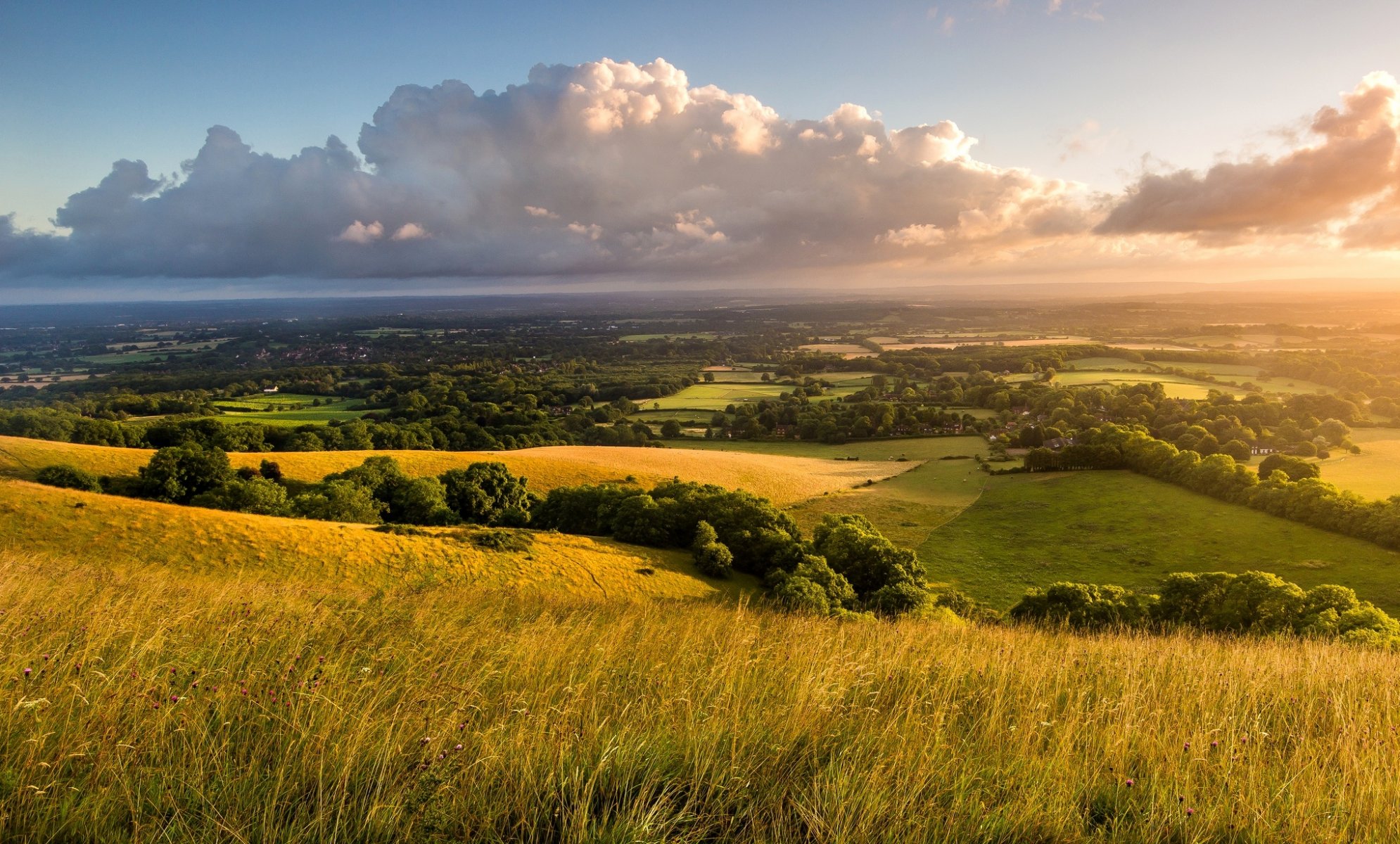 england united kingdom landscape nature morning dawn sky clouds of the field hills tree grass countryside