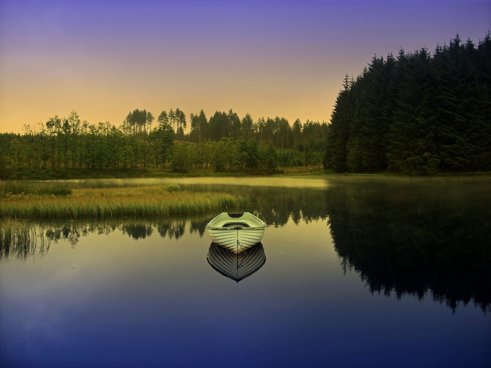 forest lake boat dawn